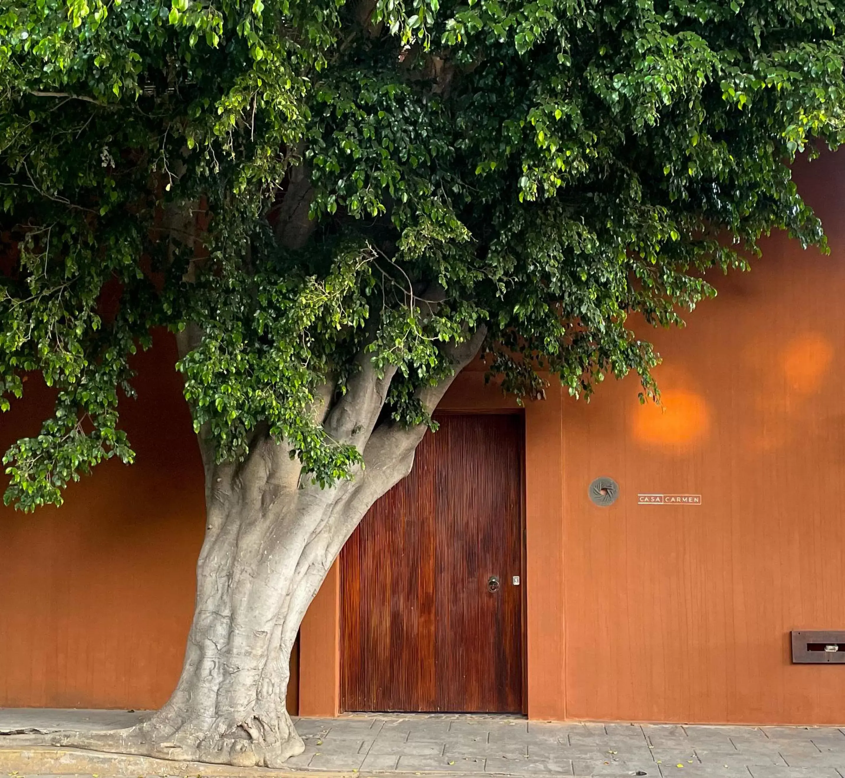 Facade/entrance in Casa Carmen Reforma