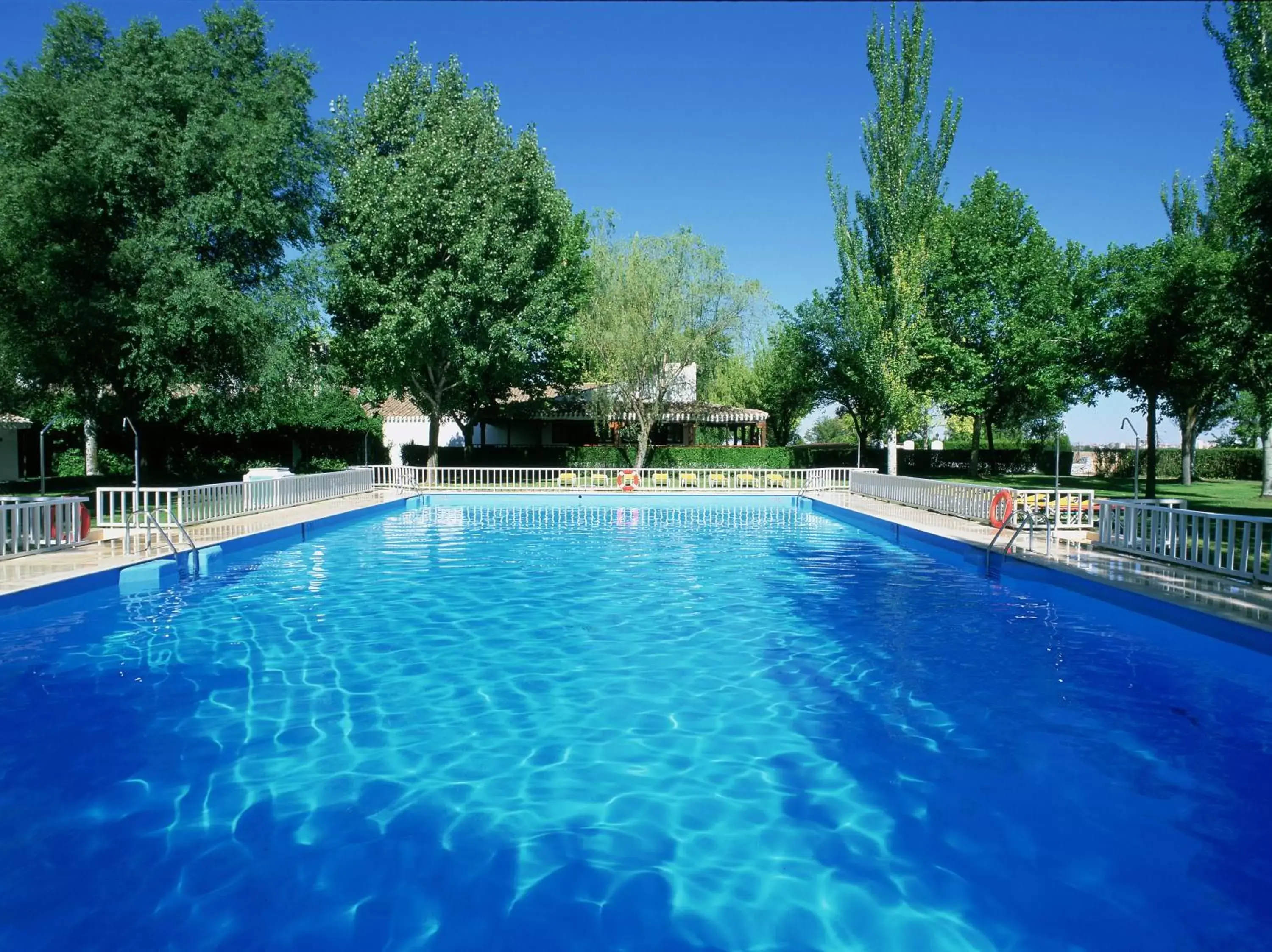 Pool view, Swimming Pool in Parador de Albacete