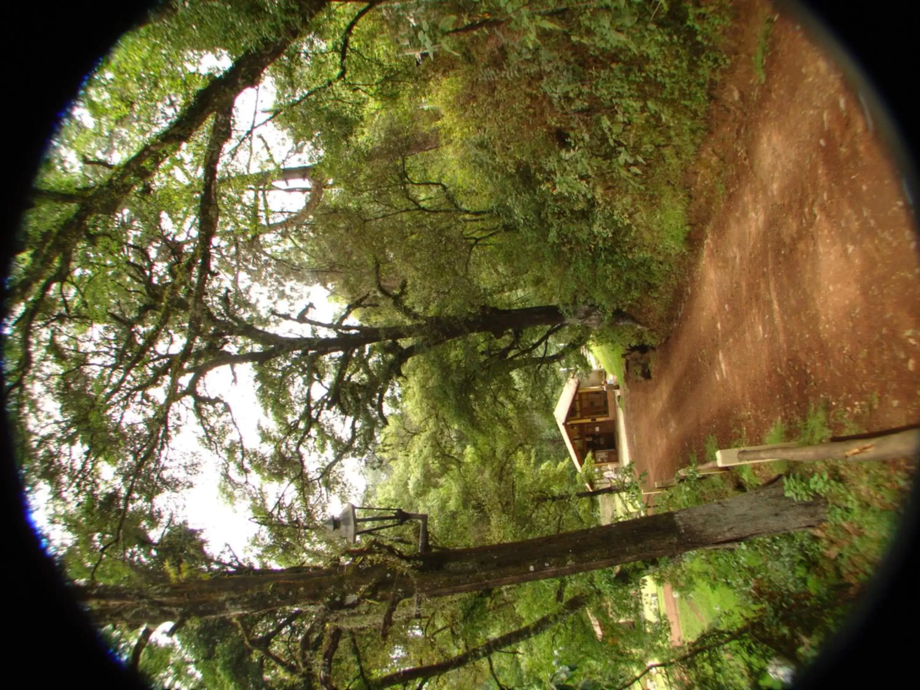 Cabañas La Cascada