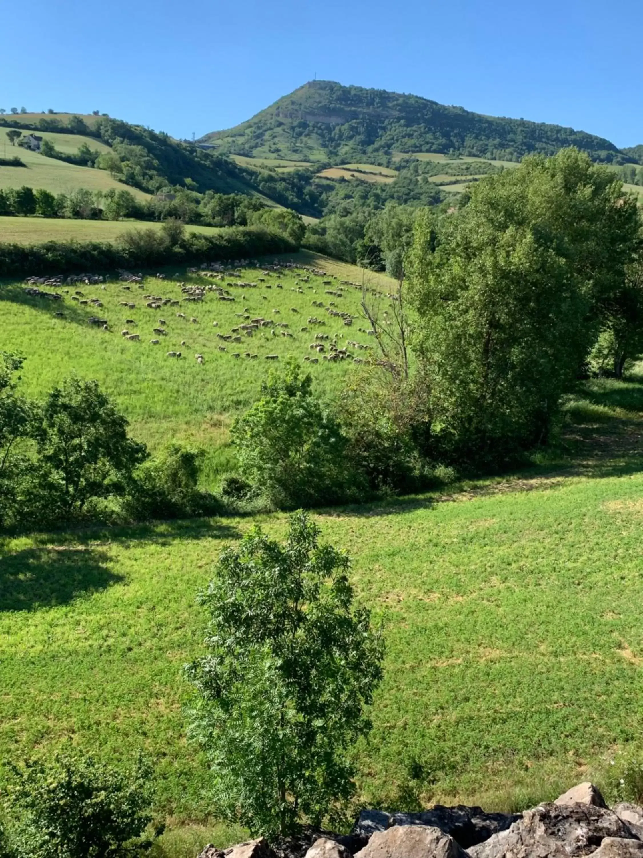 Bird's eye view in Hotel Restaurant du Bowling de Millau