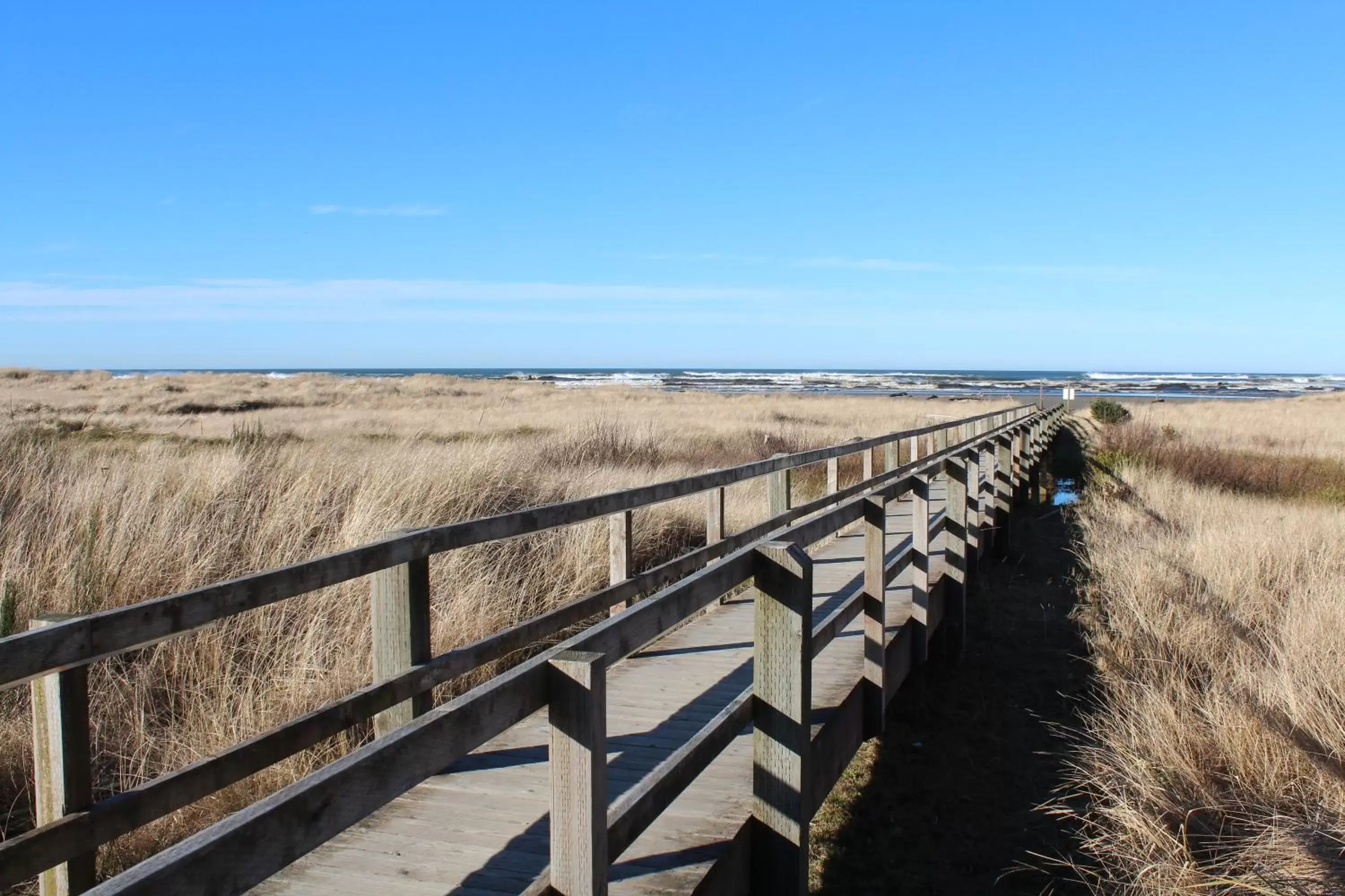 Natural landscape, Beach in Quinault Beach Resort & Casino