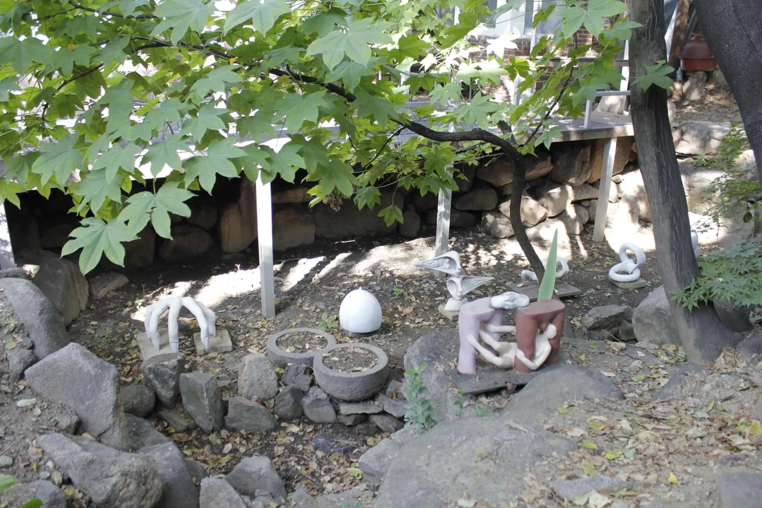 Garden, Other Animals in Jiwoljang Guest House