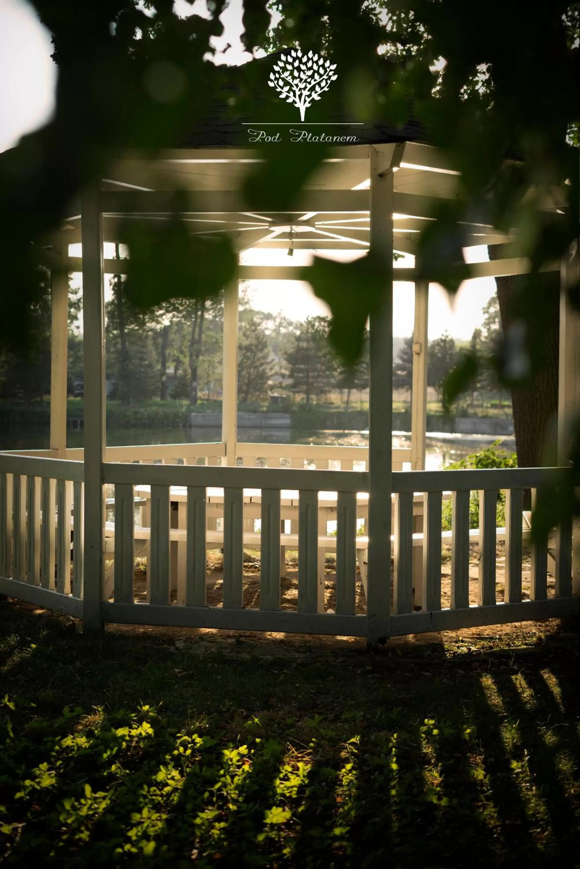 Pod Platanem Gliwice