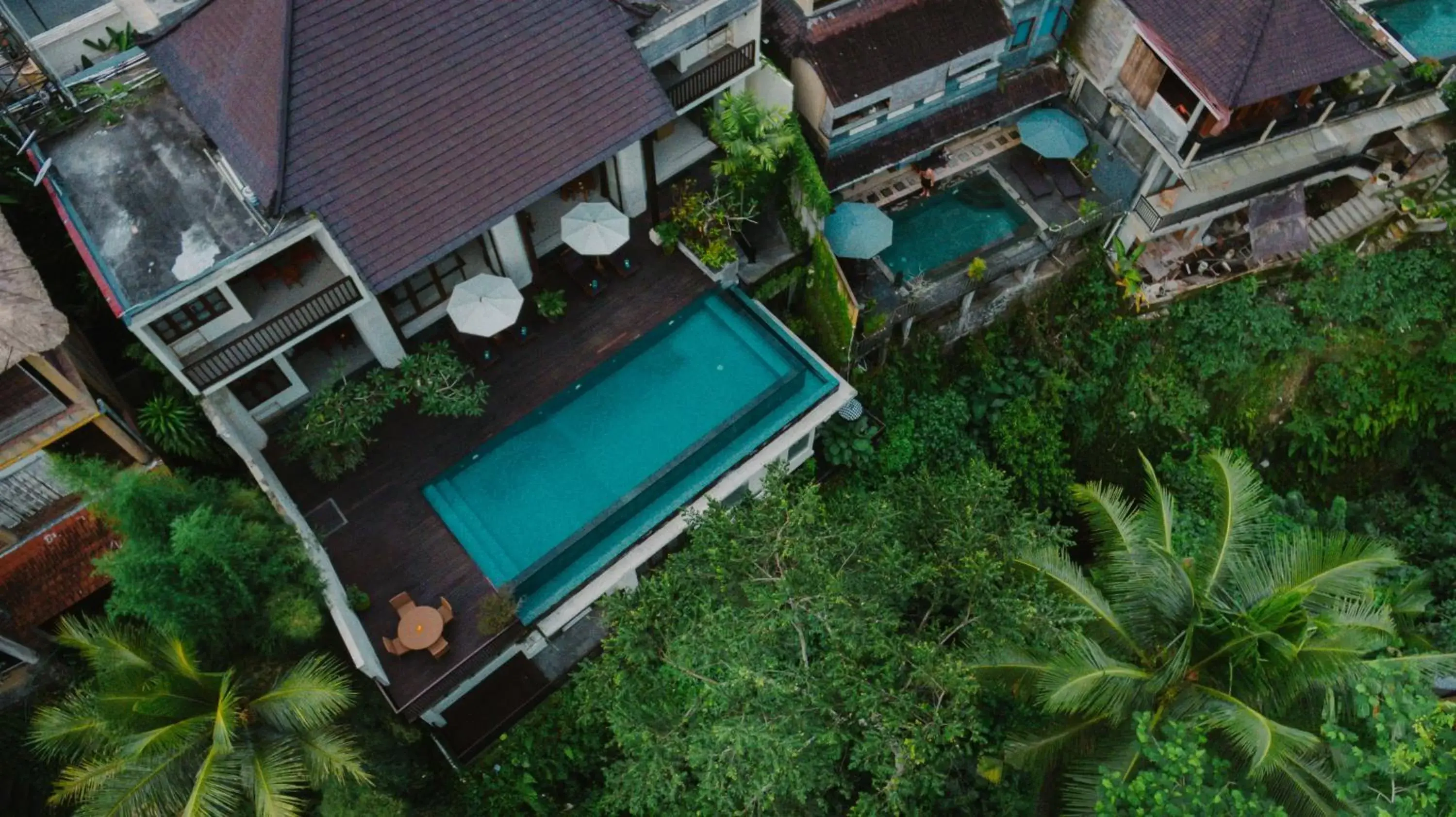 Swimming pool, Bird's-eye View in River Sakti Ubud by Prasi