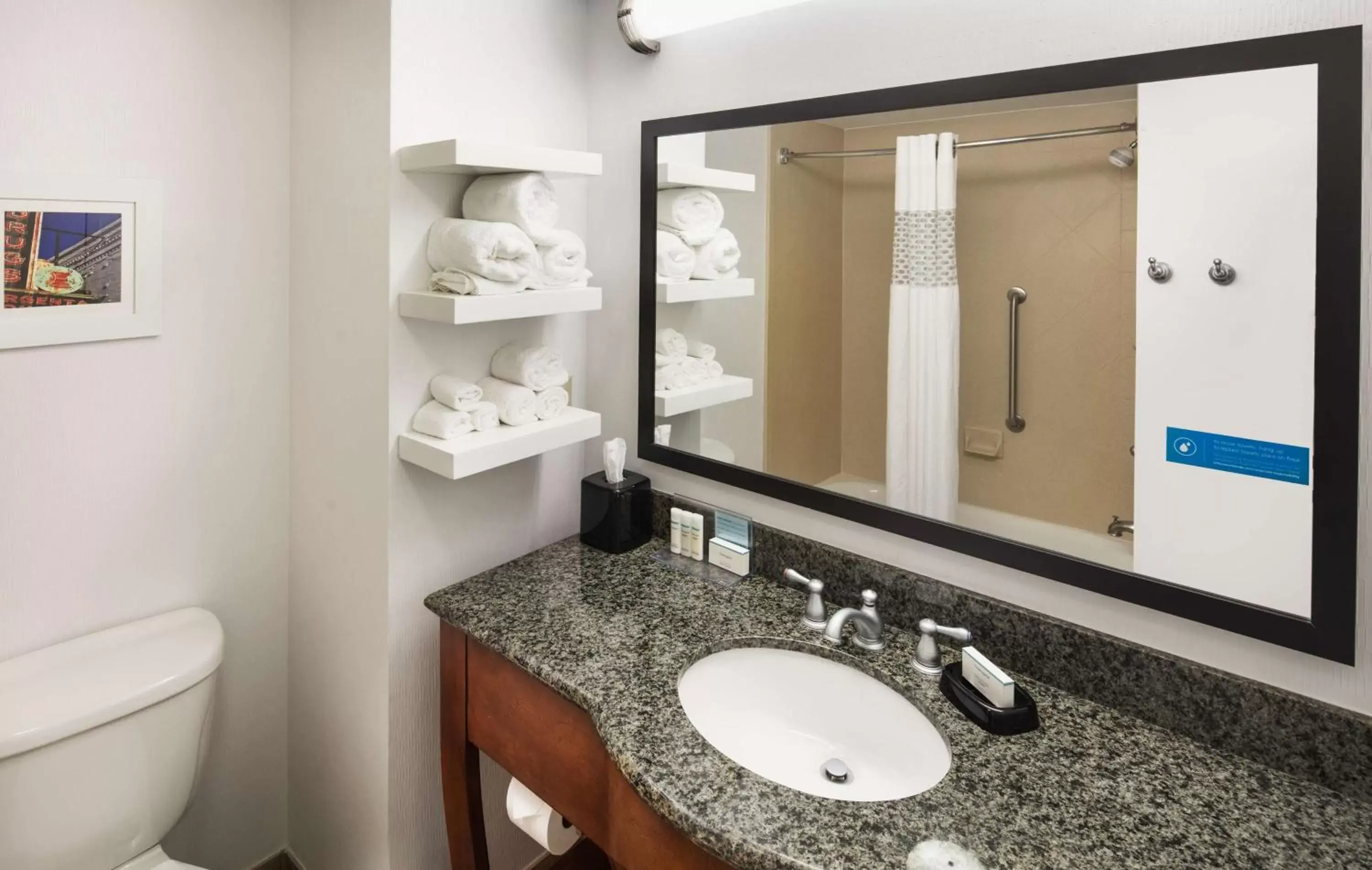 Bathroom in Hampton Inn & Suites Little Rock-Downtown