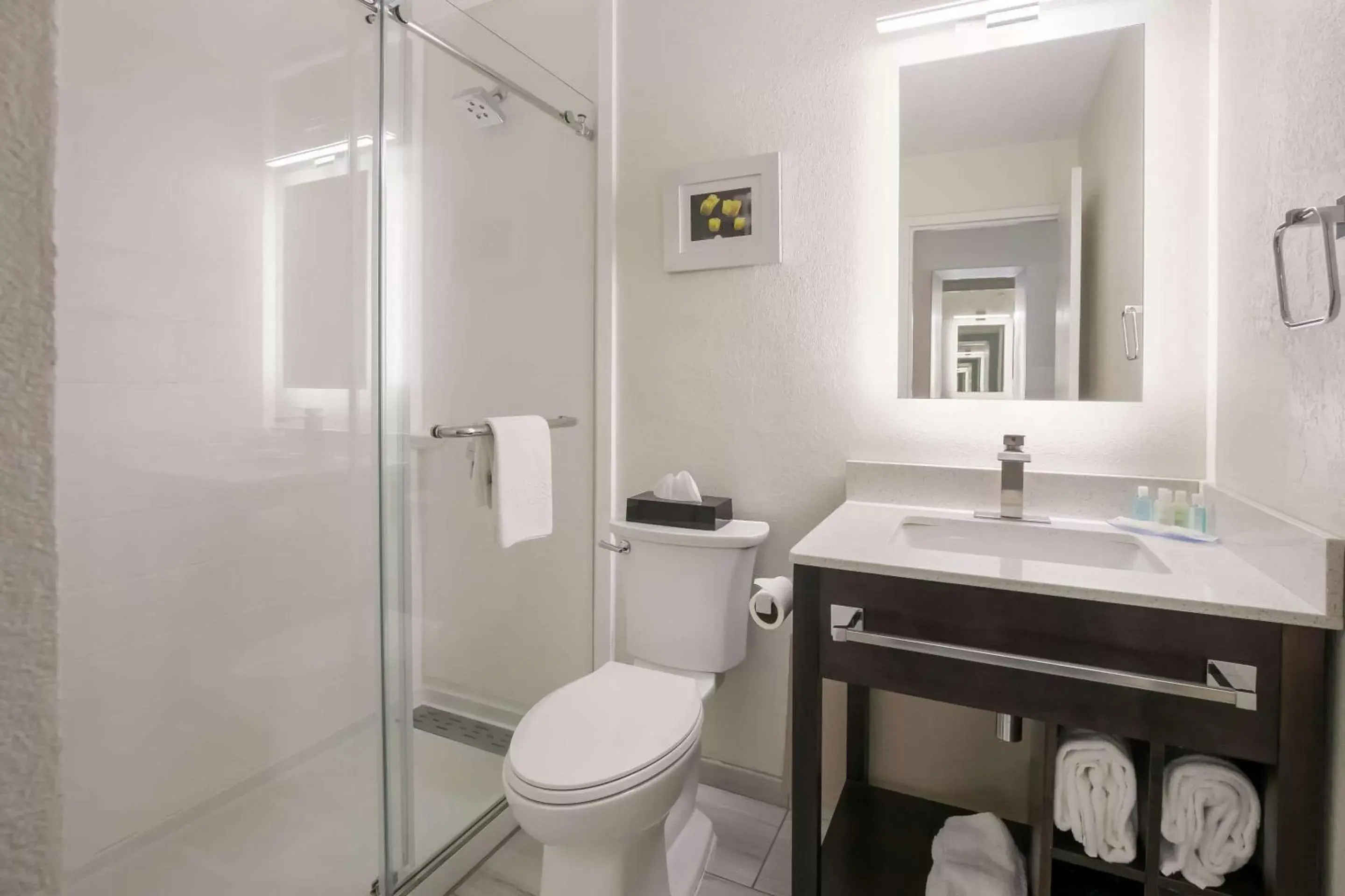 Bedroom, Bathroom in Clarion Hotel Conference Center
