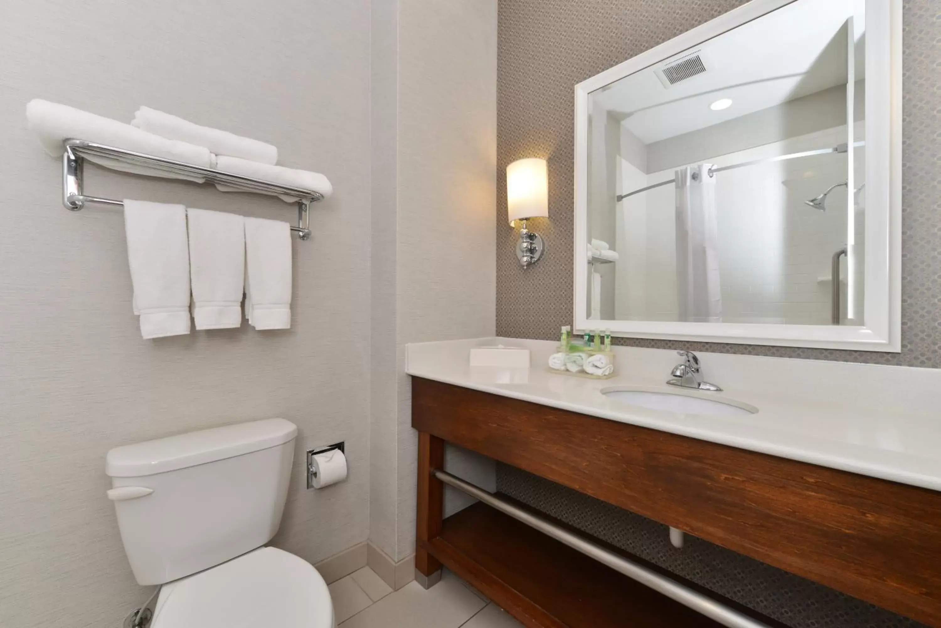 Bathroom in Holiday Inn Express Hotel & Suites Terre Haute, an IHG Hotel