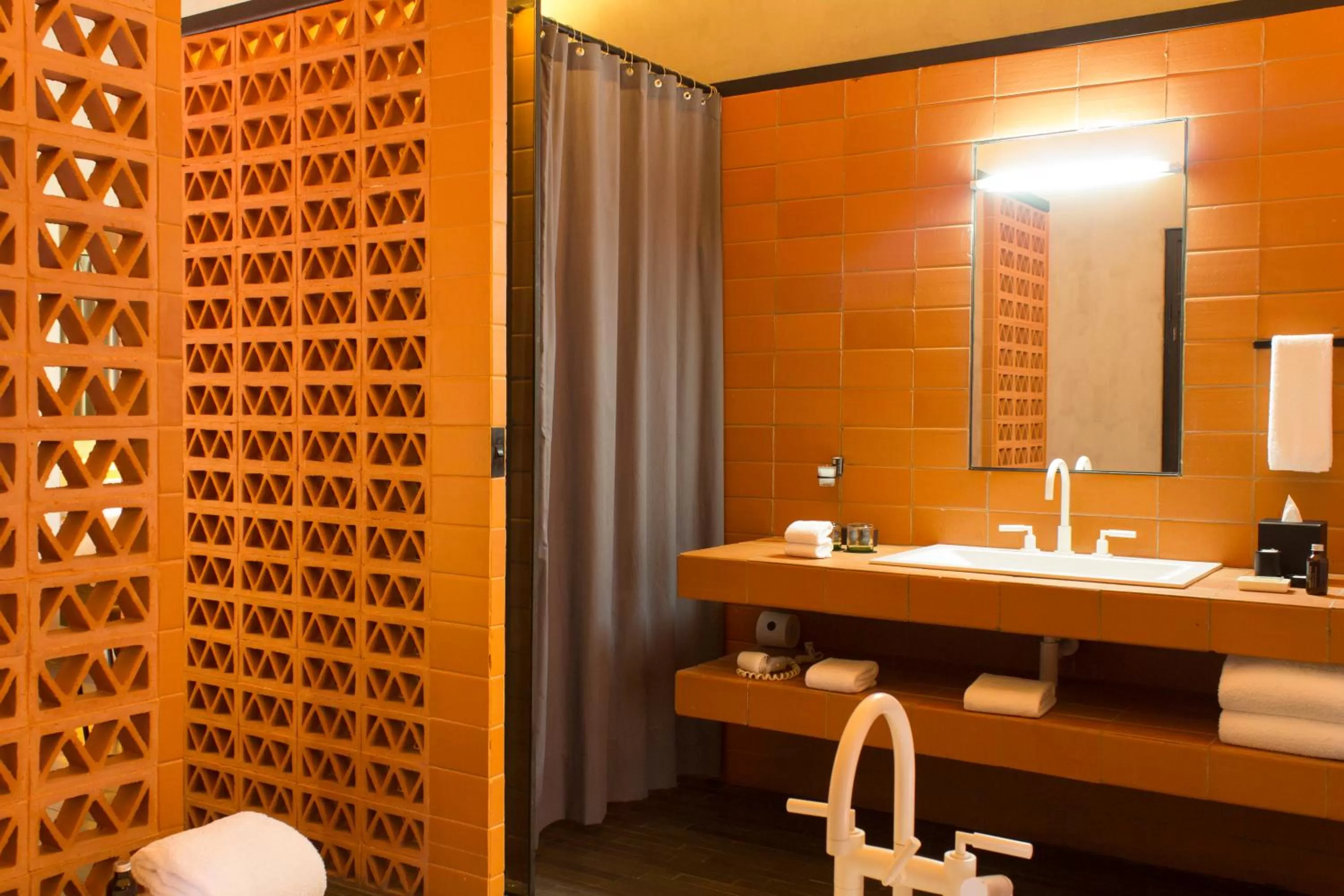 Bathroom in Downtown Mexico