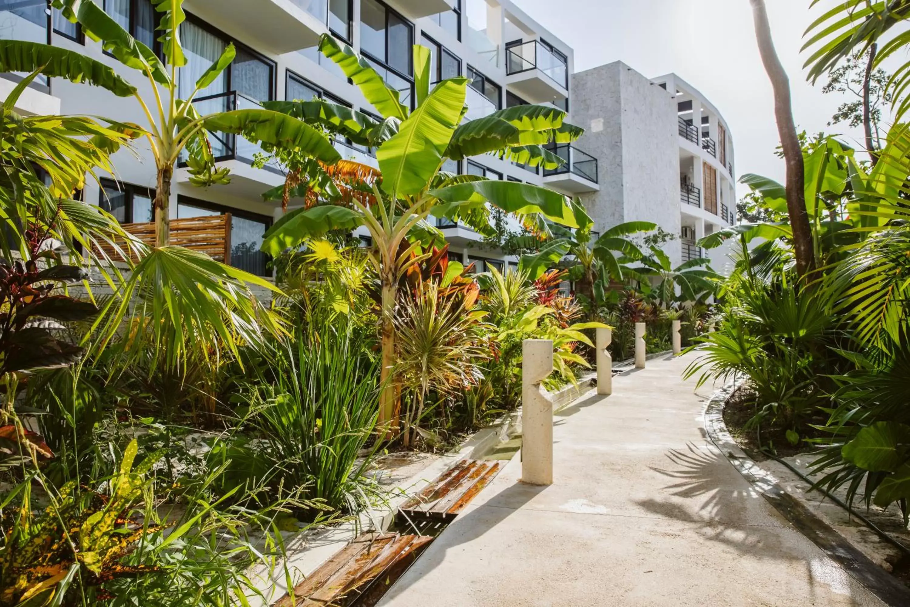 Property building in The Waves Tulum