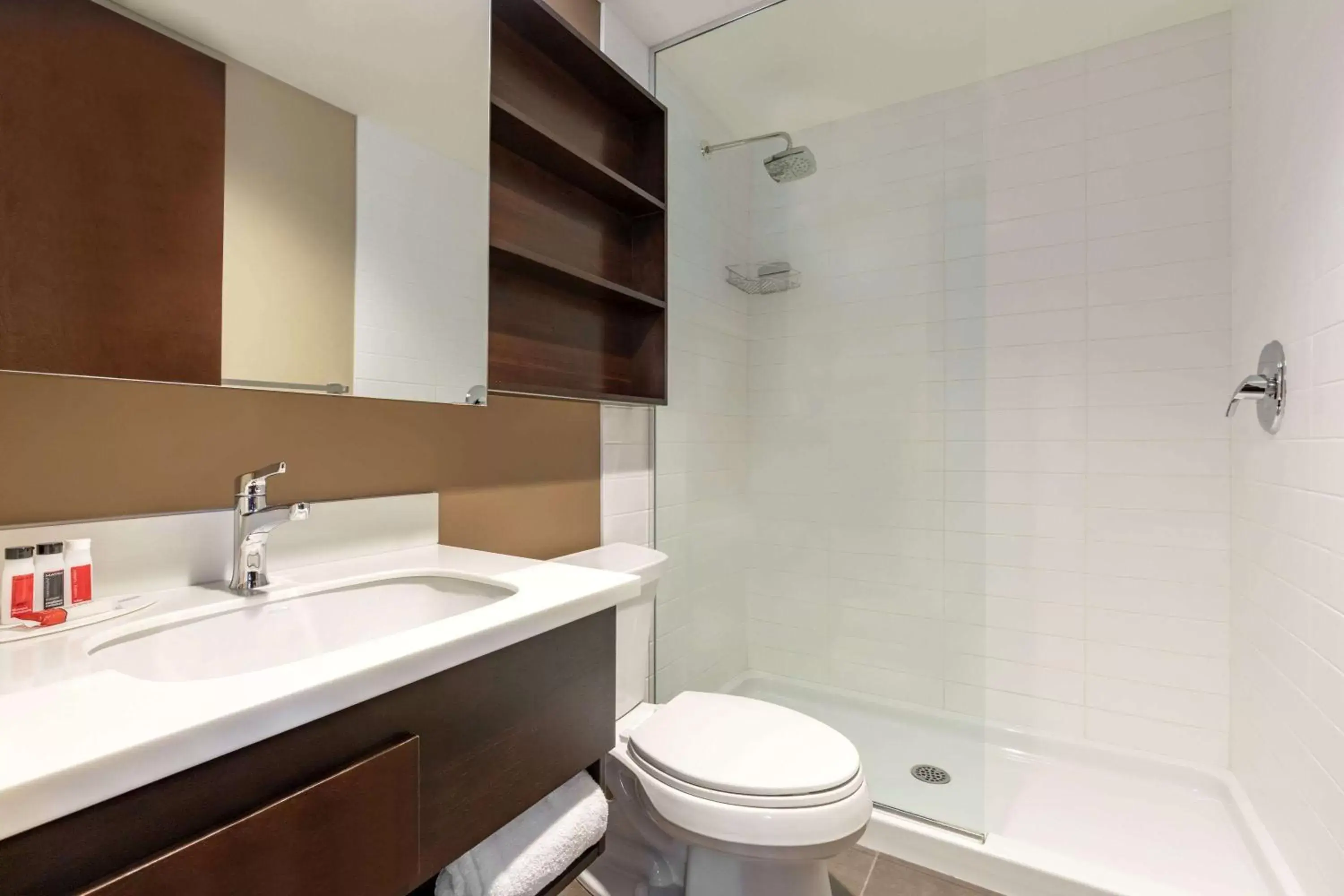 Bathroom in Microtel Inn and Suites by Wyndham Weyburn