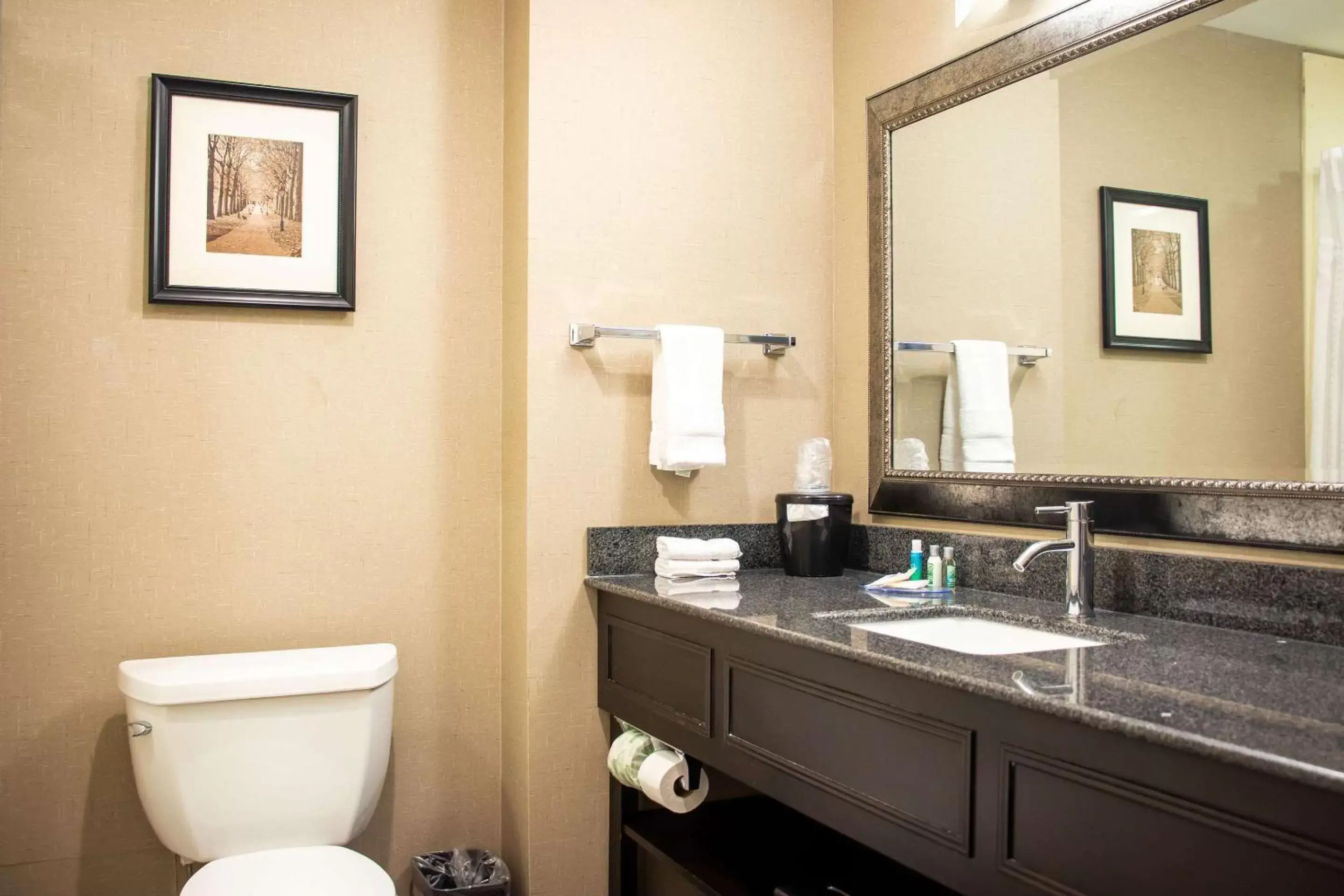 Bathroom in Comfort Inn & Suites Plainville-Foxboro