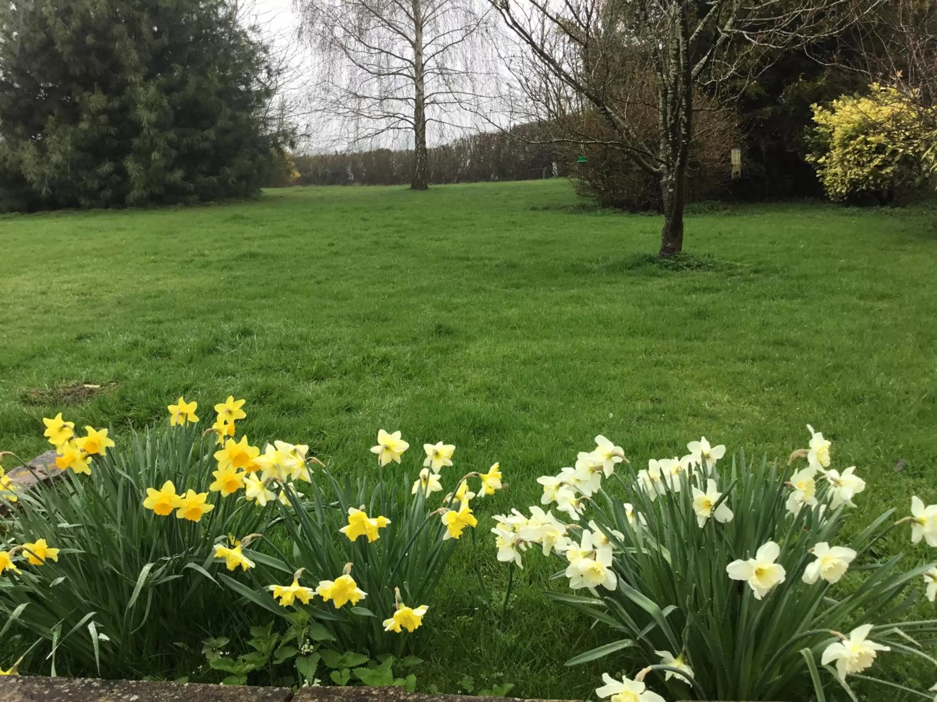 Garden in Grove Barn Bed and Breakfast