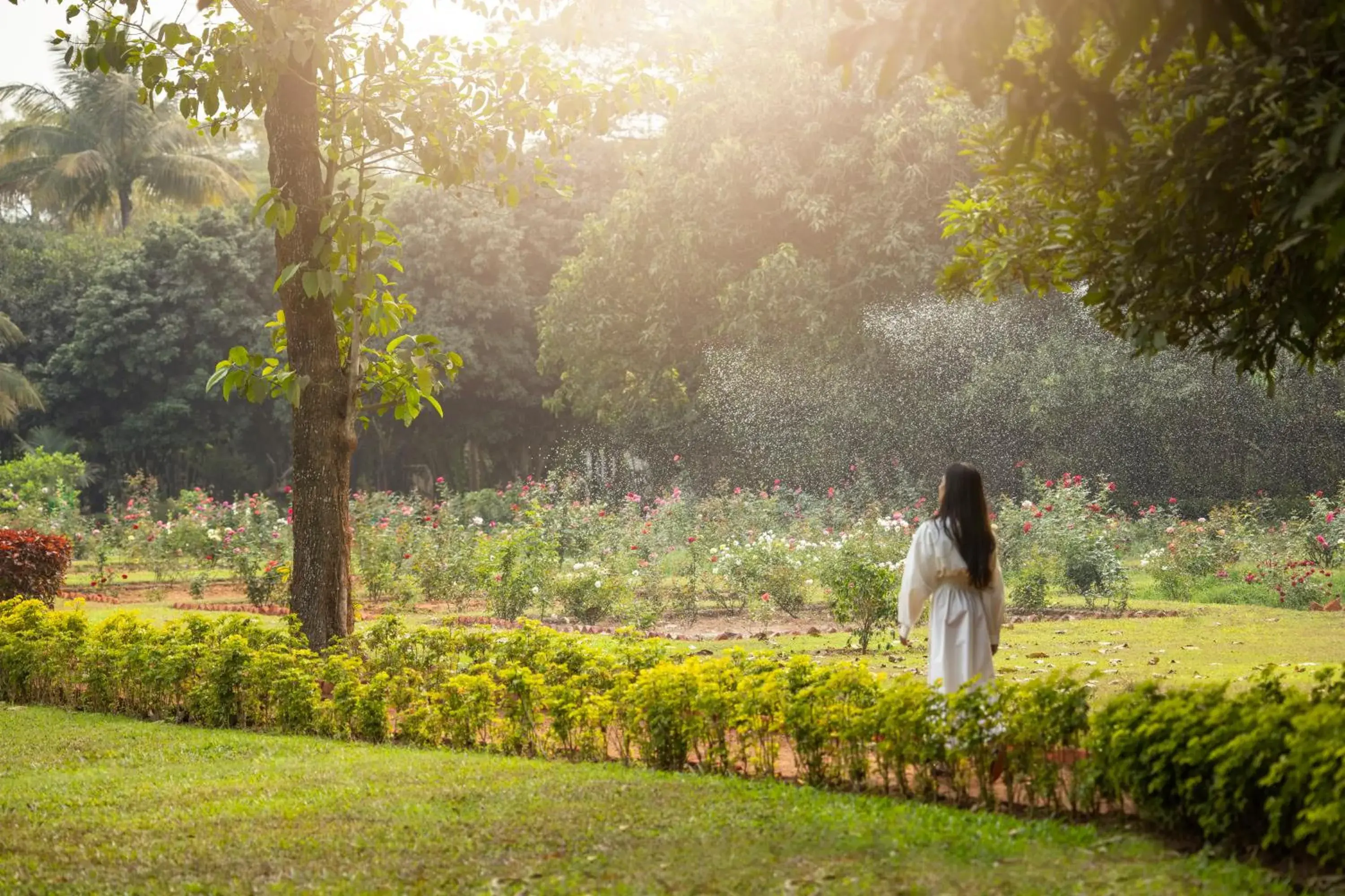 Garden view, Garden in Trident Bhubaneswar