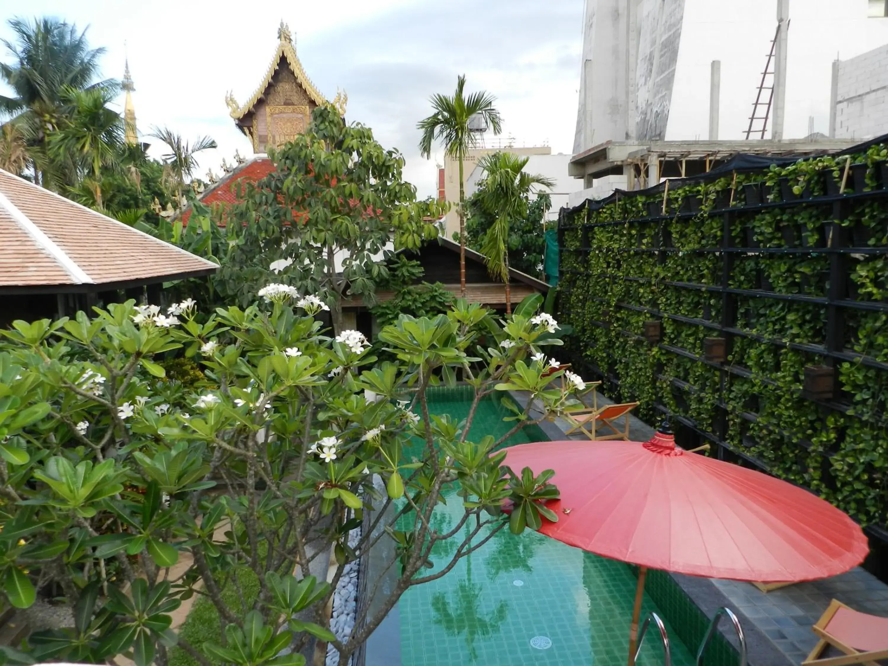 Swimming pool, Pool View in Baan Saen Fang Chiang Mai - SHA Plus