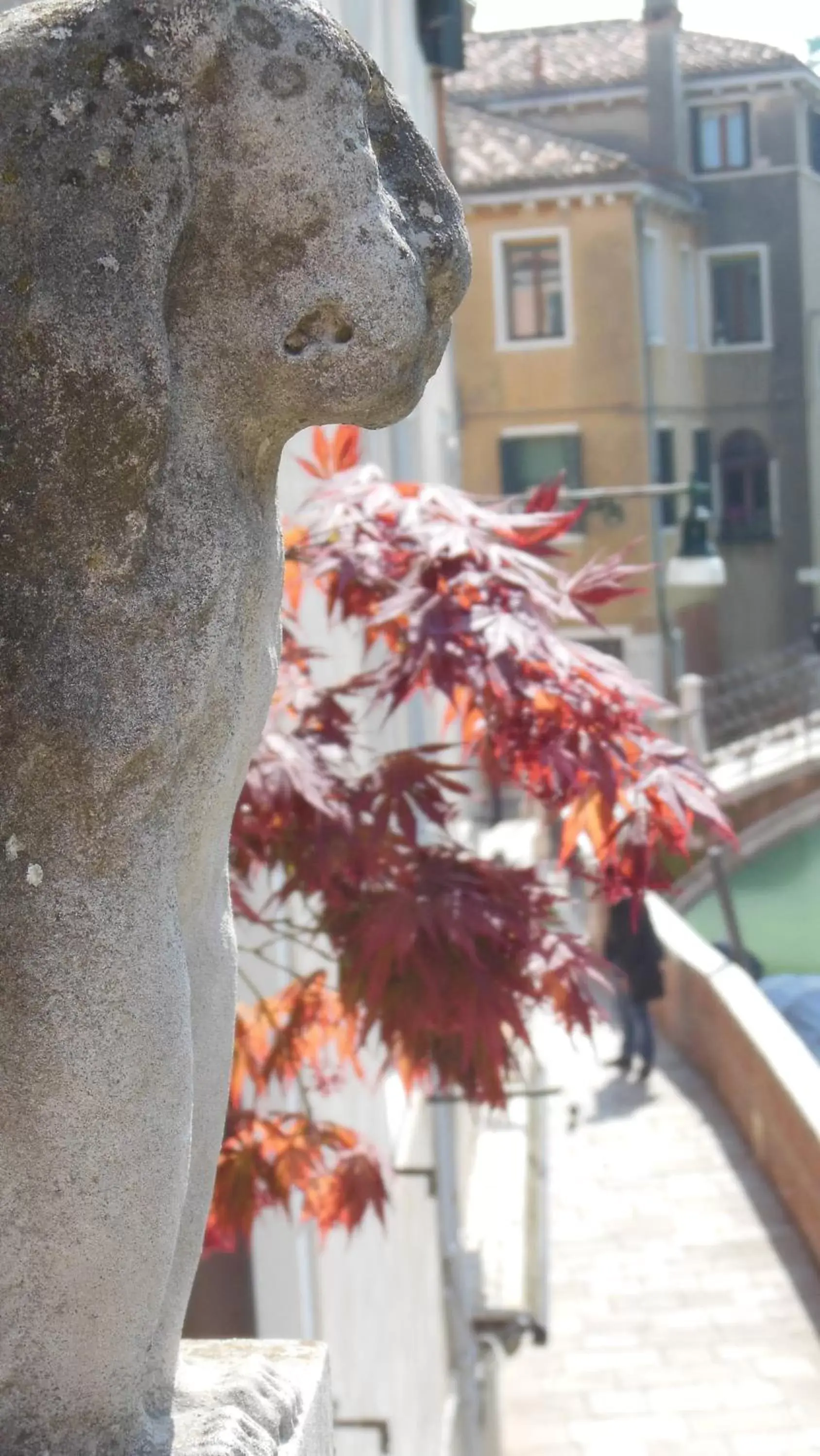 Decorative detail in Hotel Sant'Antonin