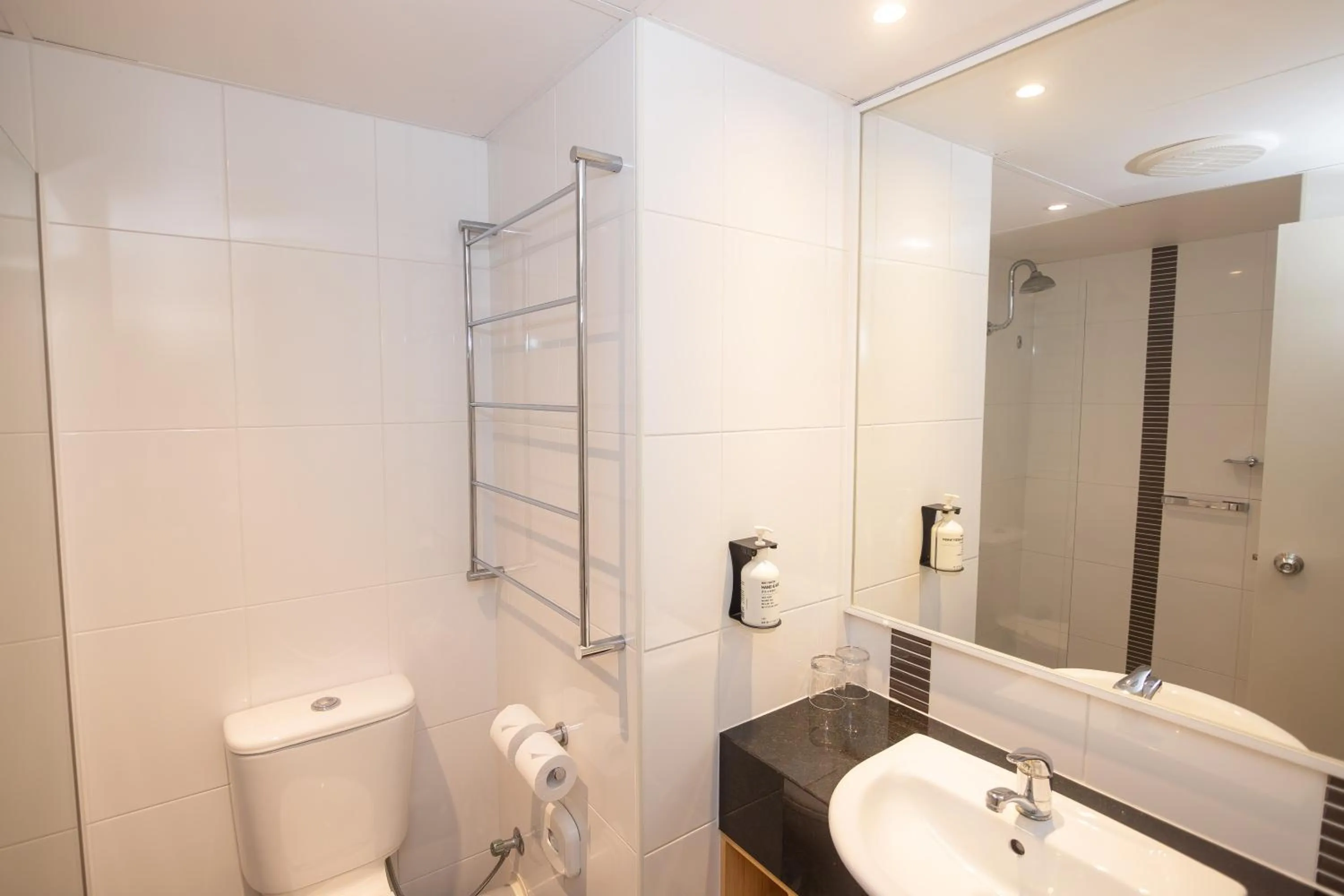 Toilet in Dog Rock Motel