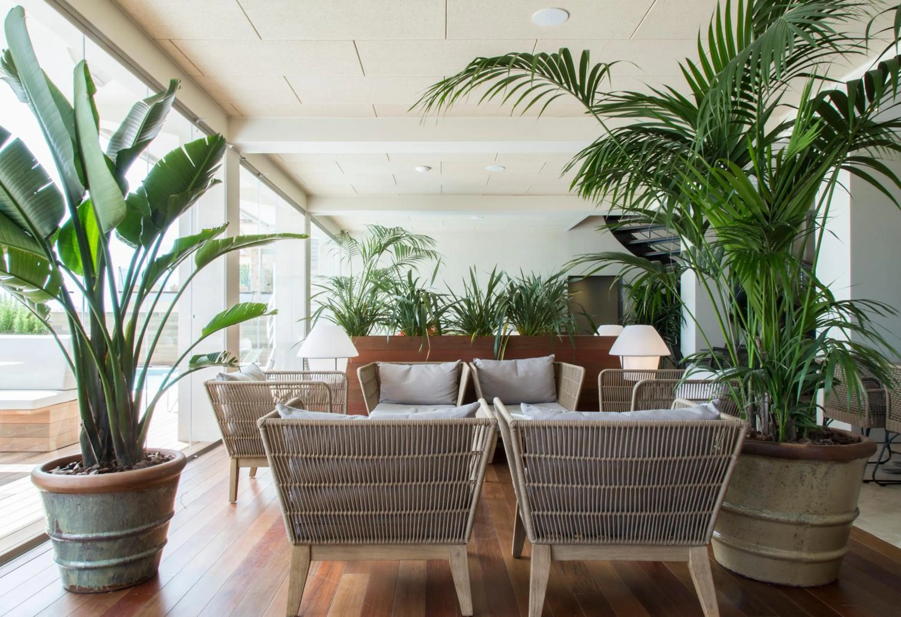 Lounge or bar in Hotel Maritim 4 Superior