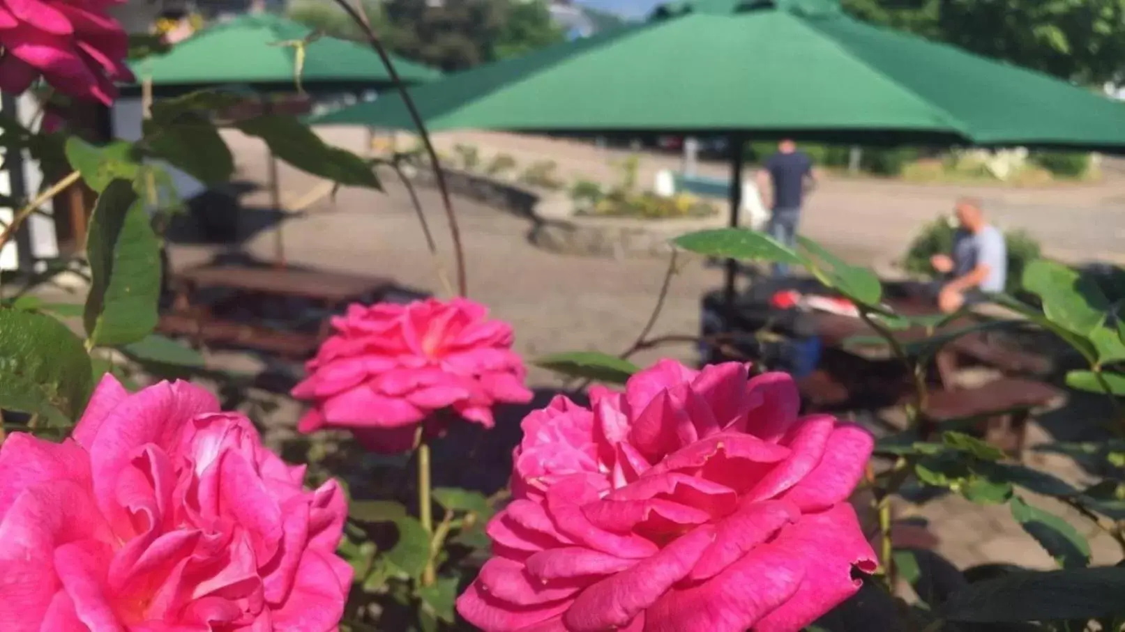 Facade/entrance in Alexandra Hotel Facade/entrance in Alexandra Hotel