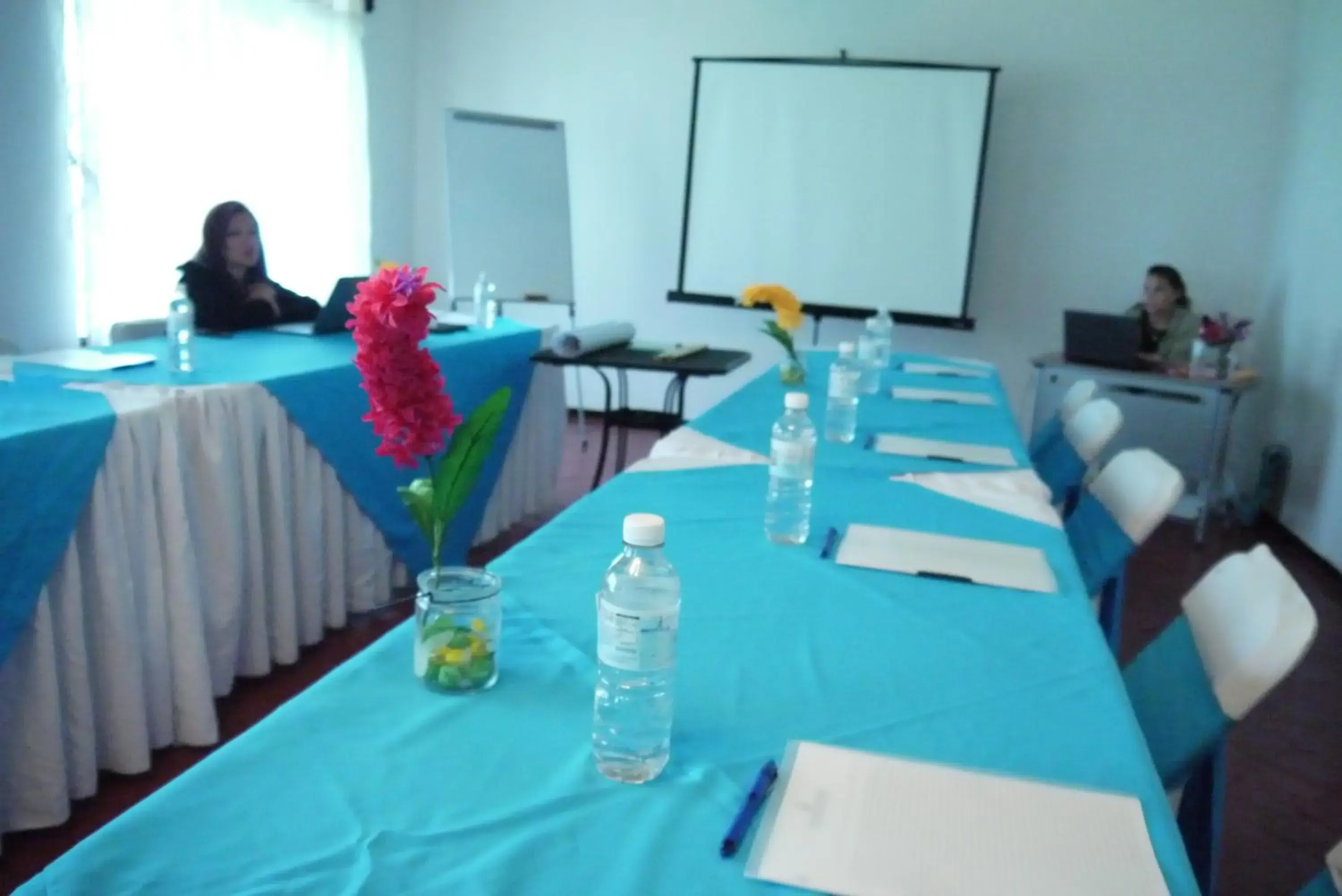 Meeting/conference room in Hotel Finca Las Hortensias