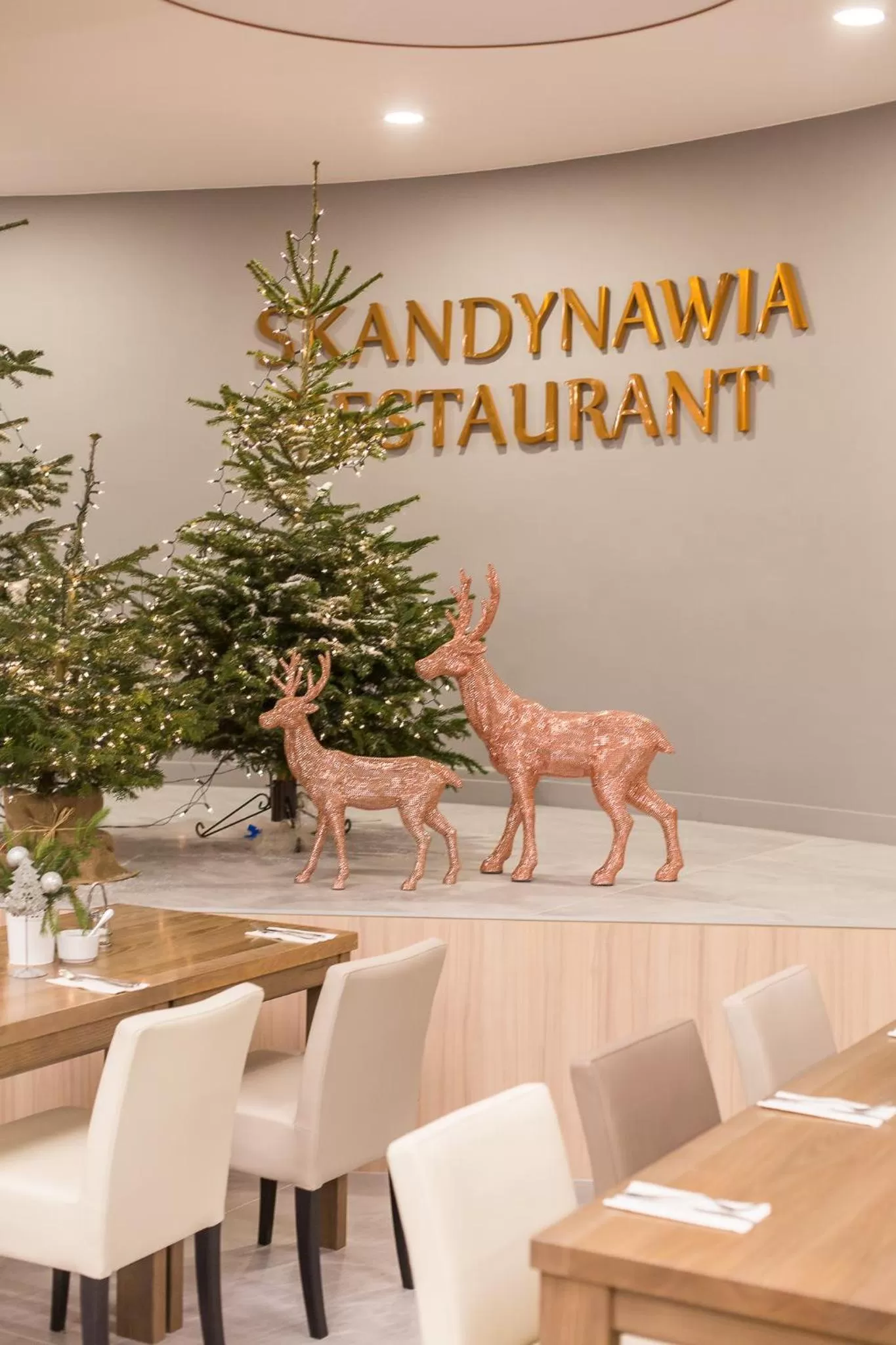 Restaurant/places to eat in Hotel New Skanpol