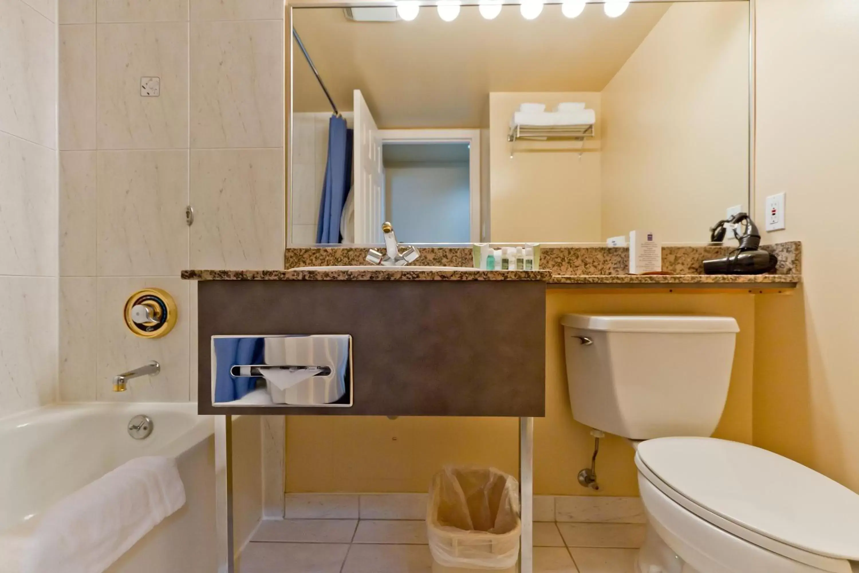 Bathroom in Rosedale on Robson Suite Hotel