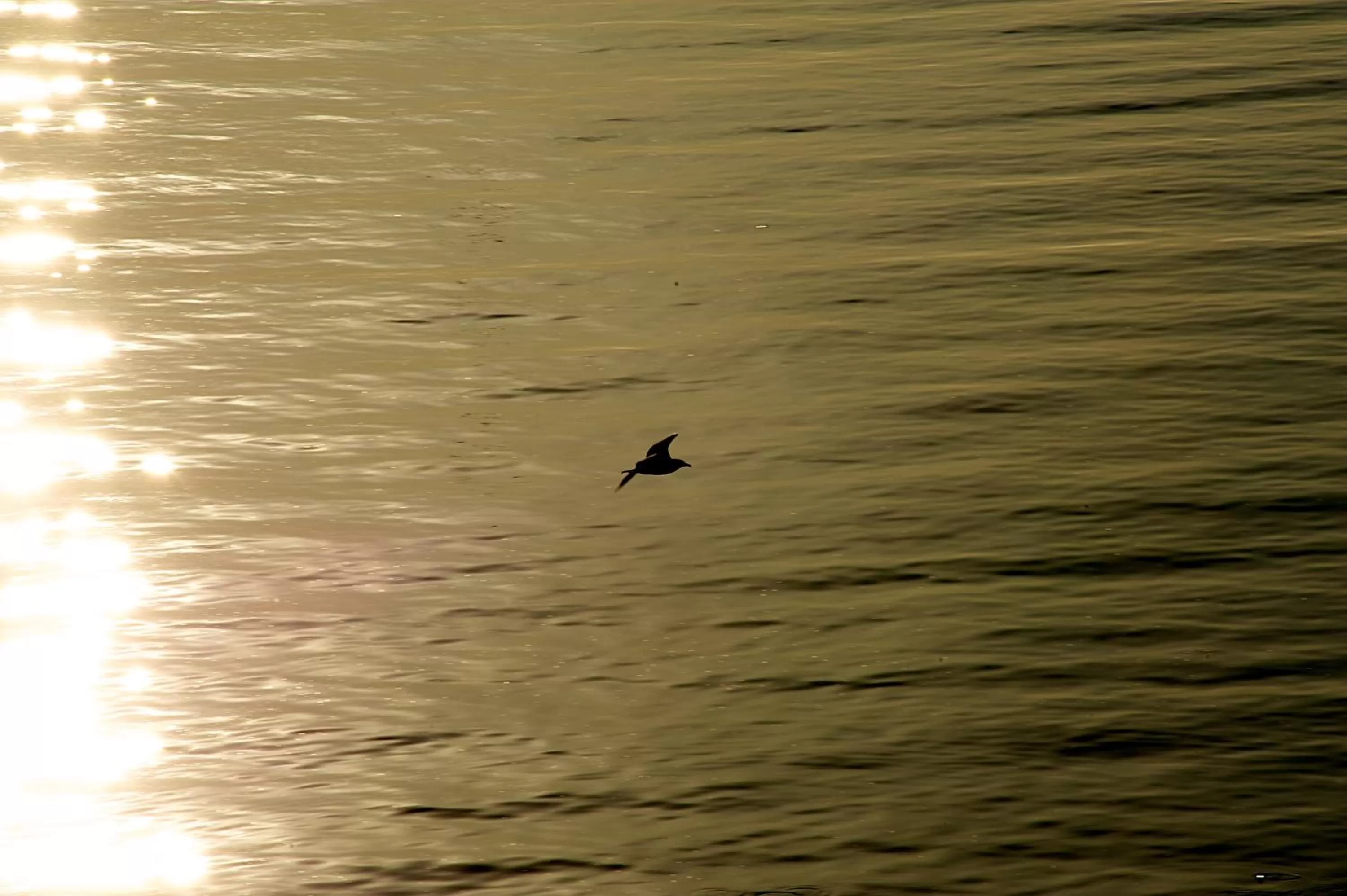 Nearby landmark in Villa Lieta