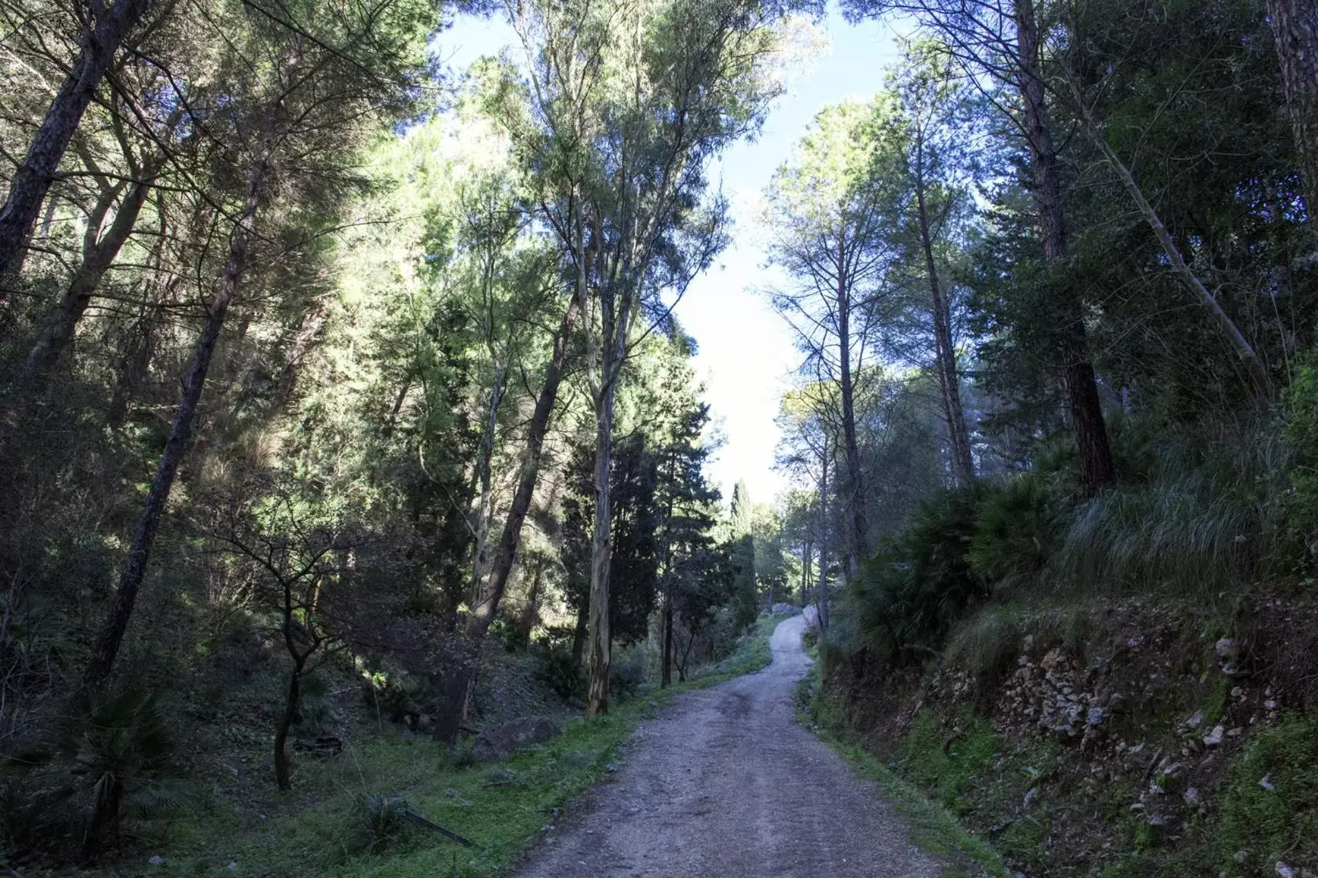 Natural landscape in La Dimora Di Segesta B&B