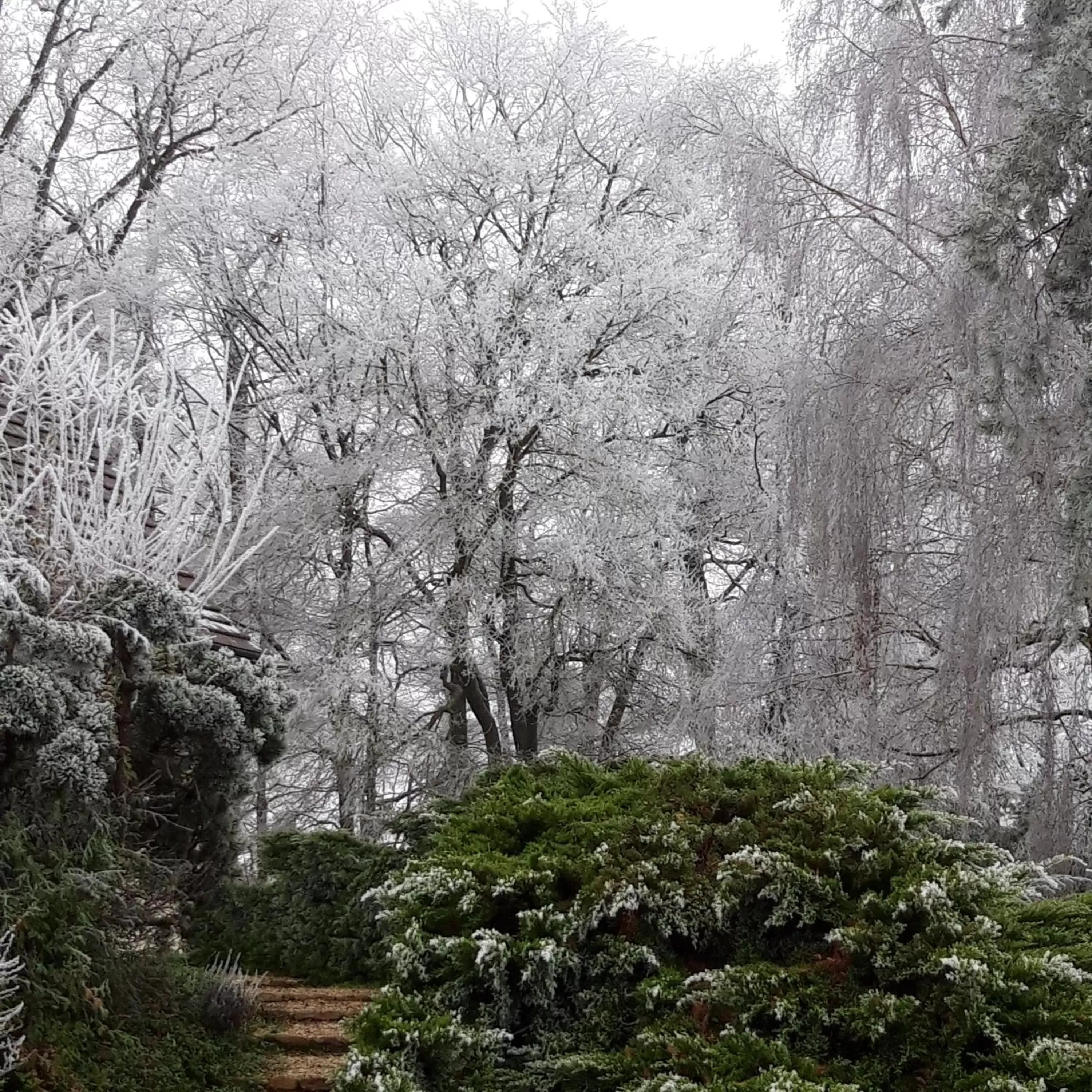 Winter in L'EDEN proche du Zoo de Beauval de Saint Aignan