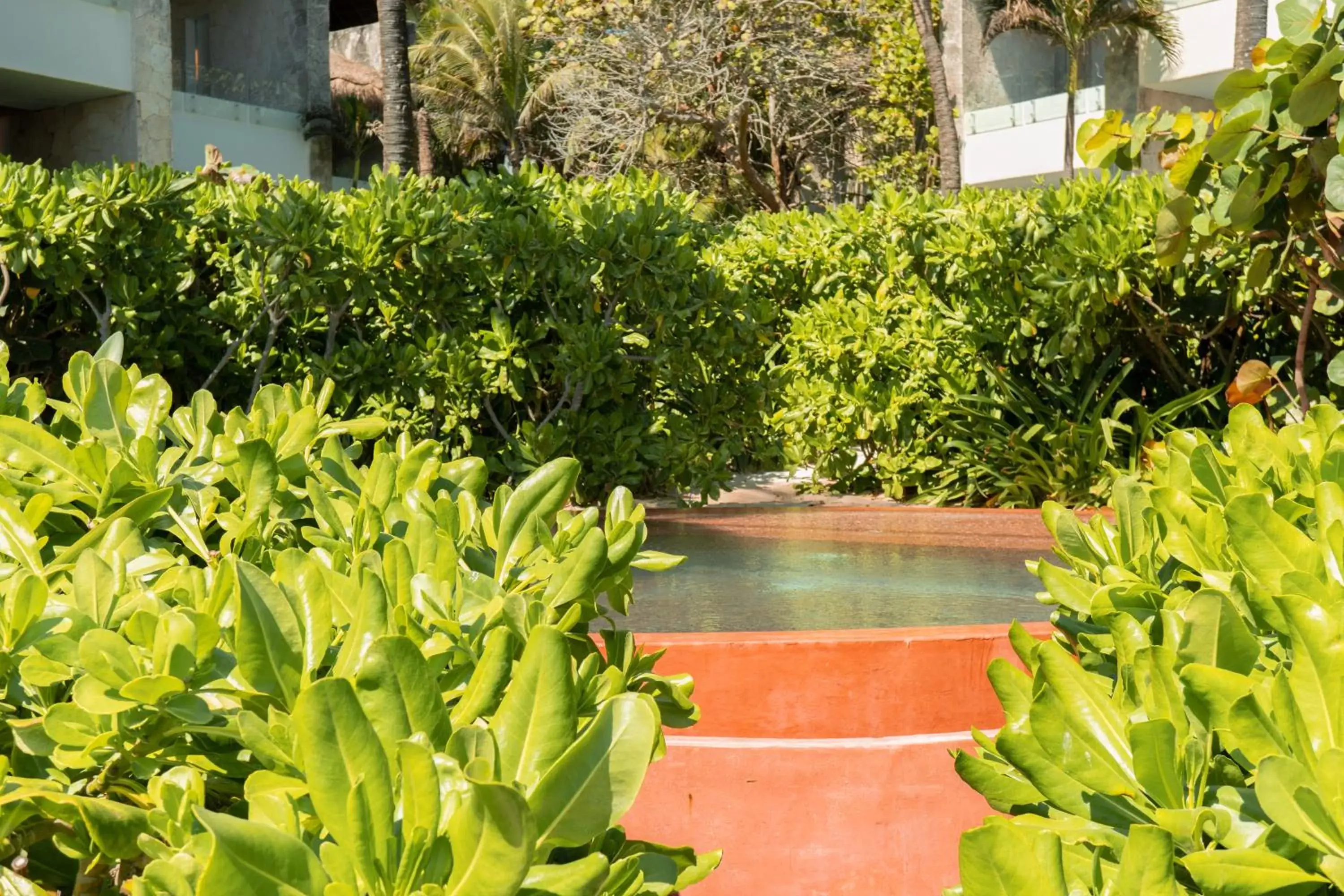 Pool view in Tago Tulum by G Hotels