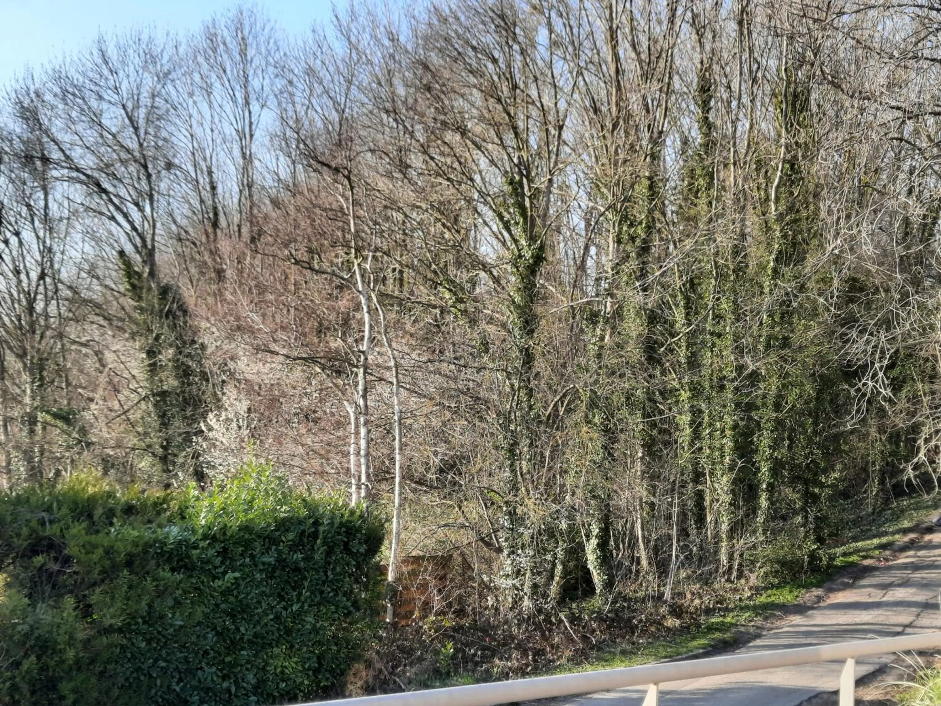 Garden in La Maison De Marie