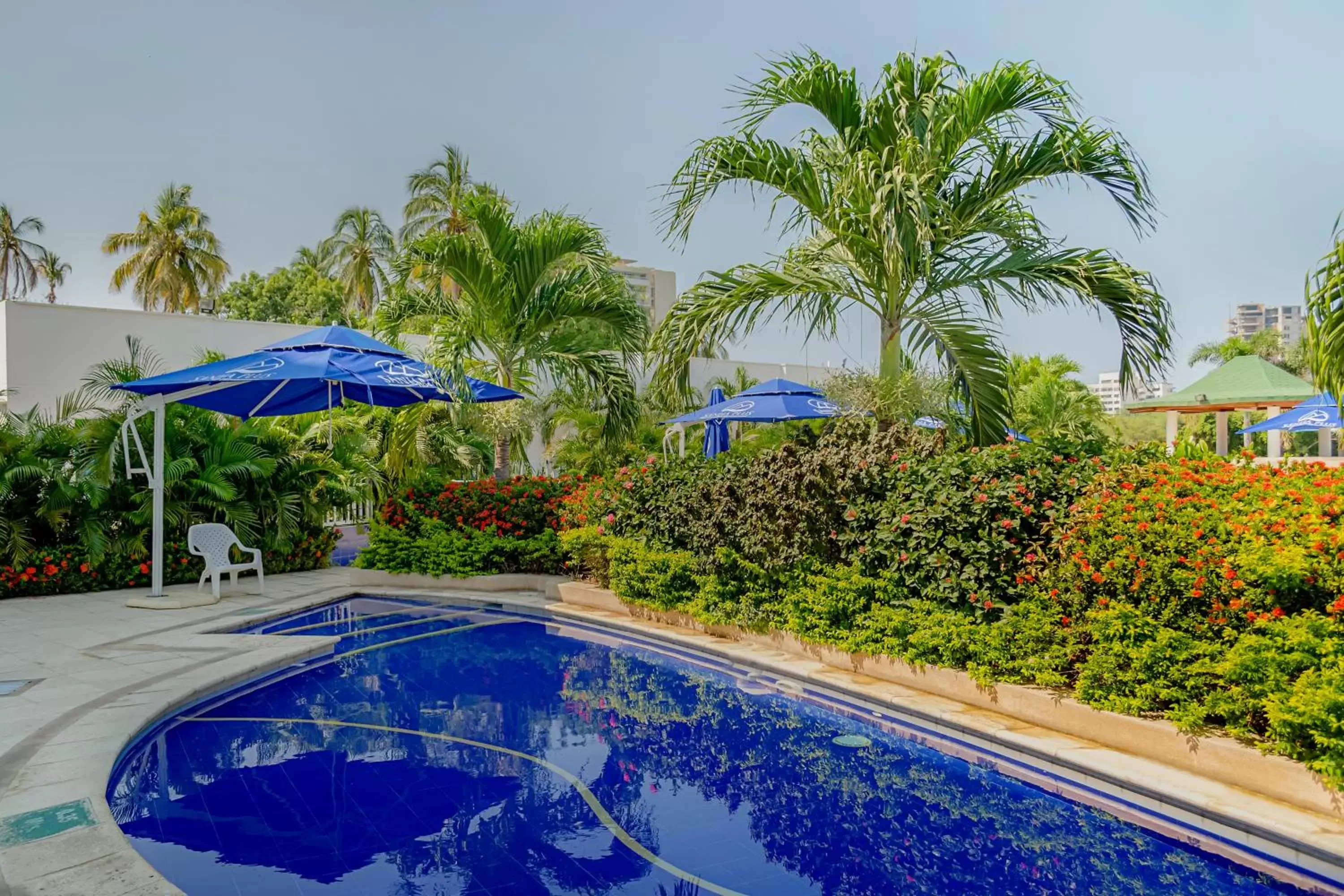 Pool view, Swimming Pool in Sanha Plus Hotel