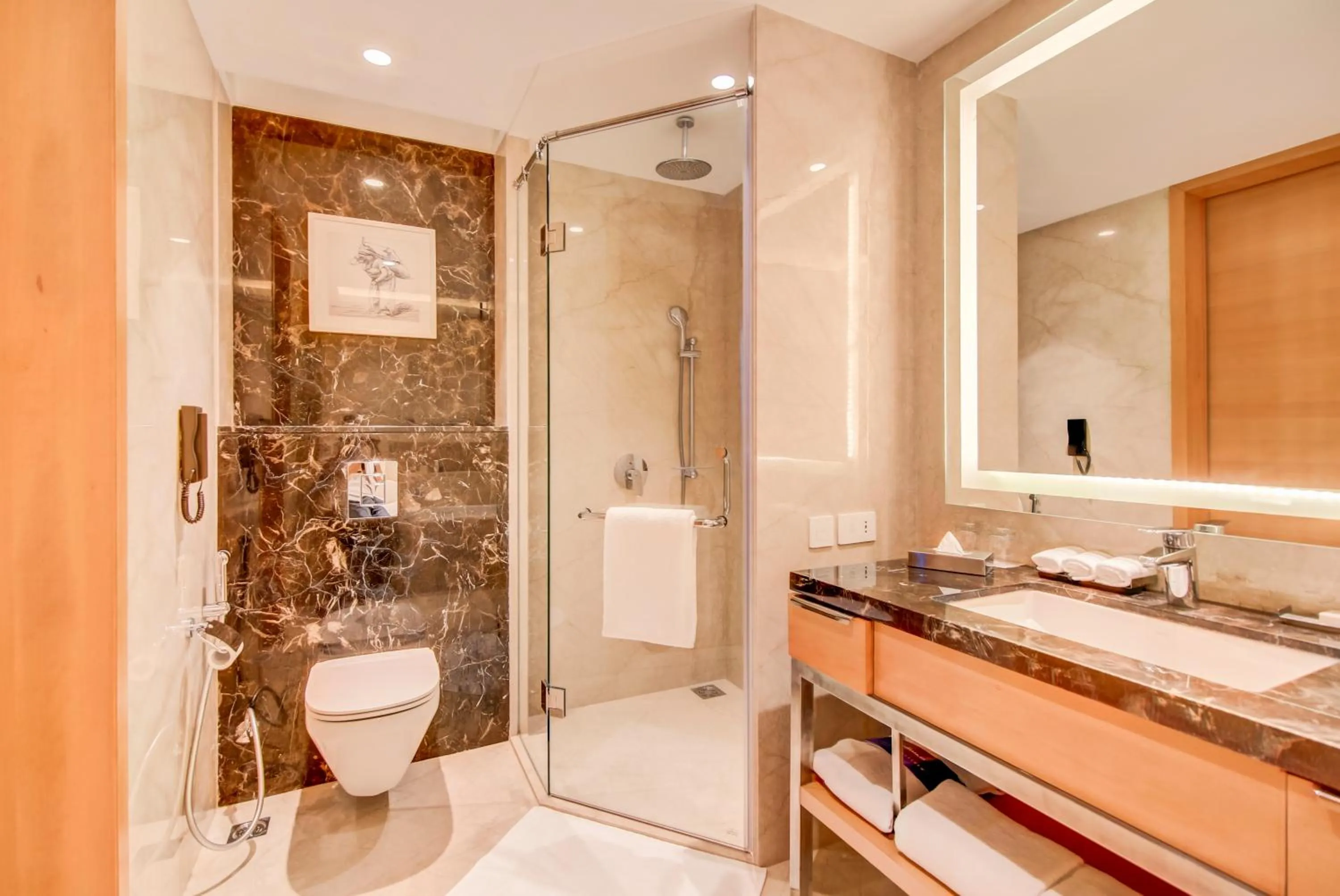 Bathroom in Radisson Blu Gorakhpur