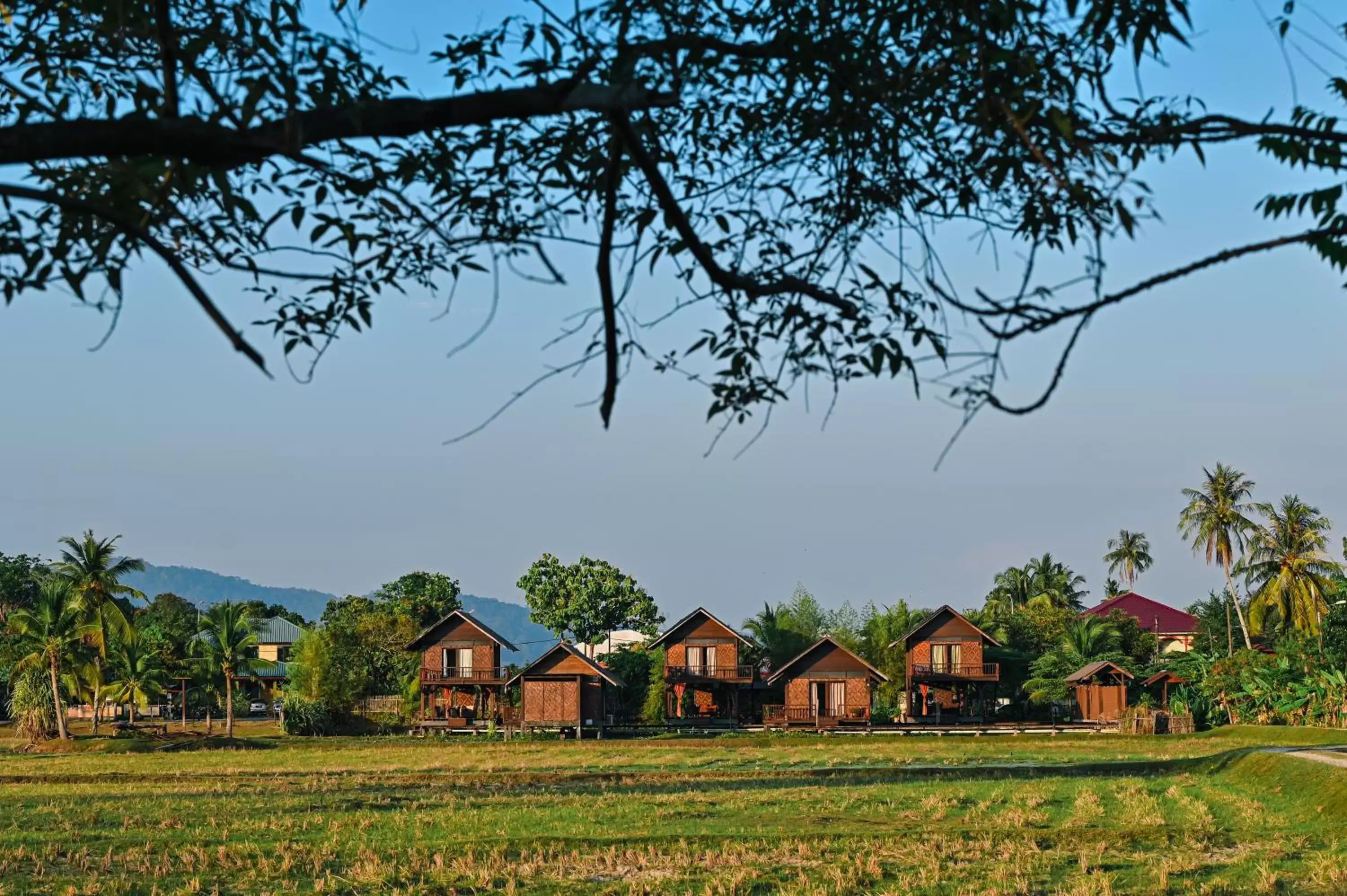 Garden, Property Building in The Gemalai Village