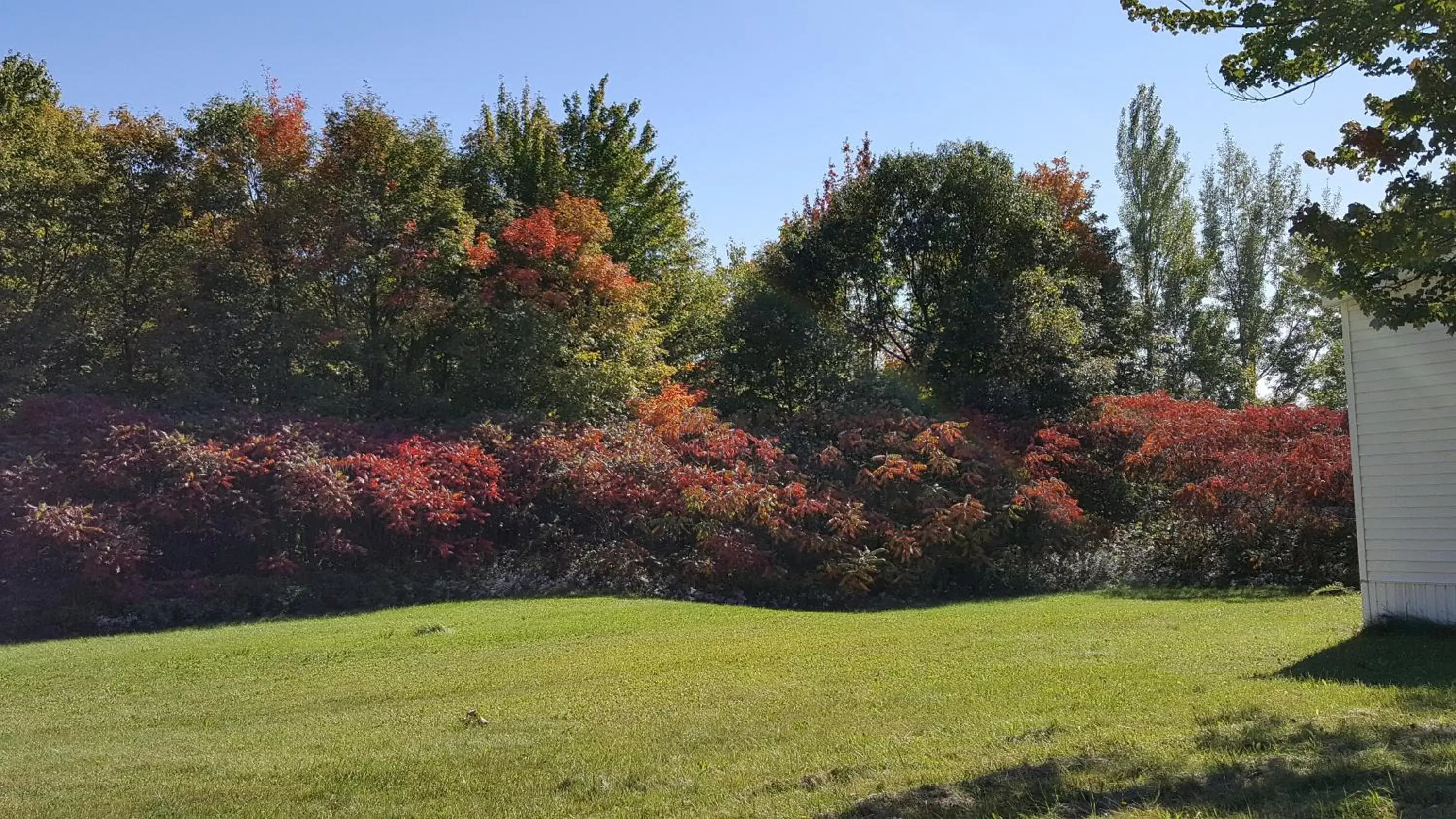 Garden in Motel Le Voyageur