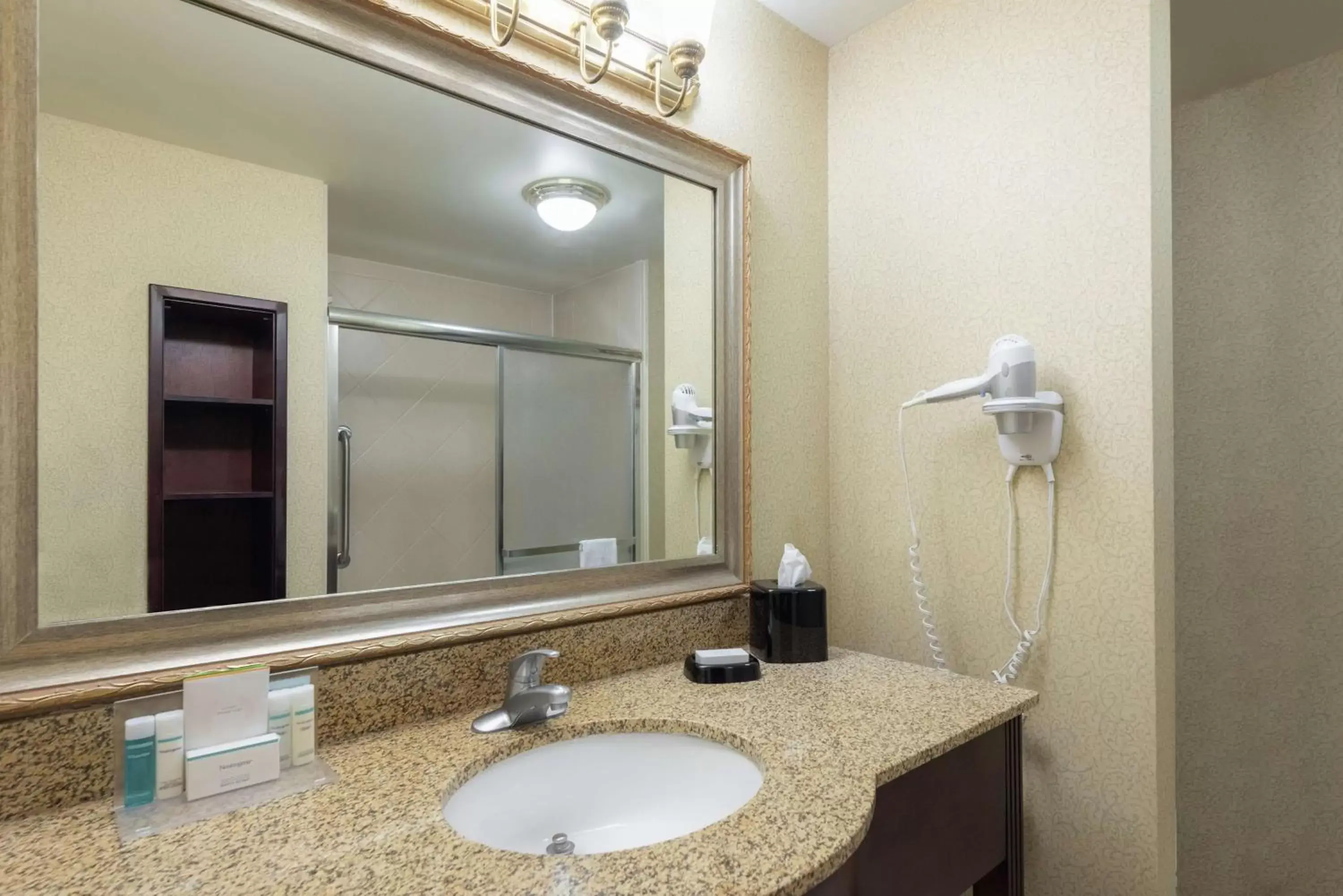 Bathroom in Hampton Inn & Suites - Vicksburg