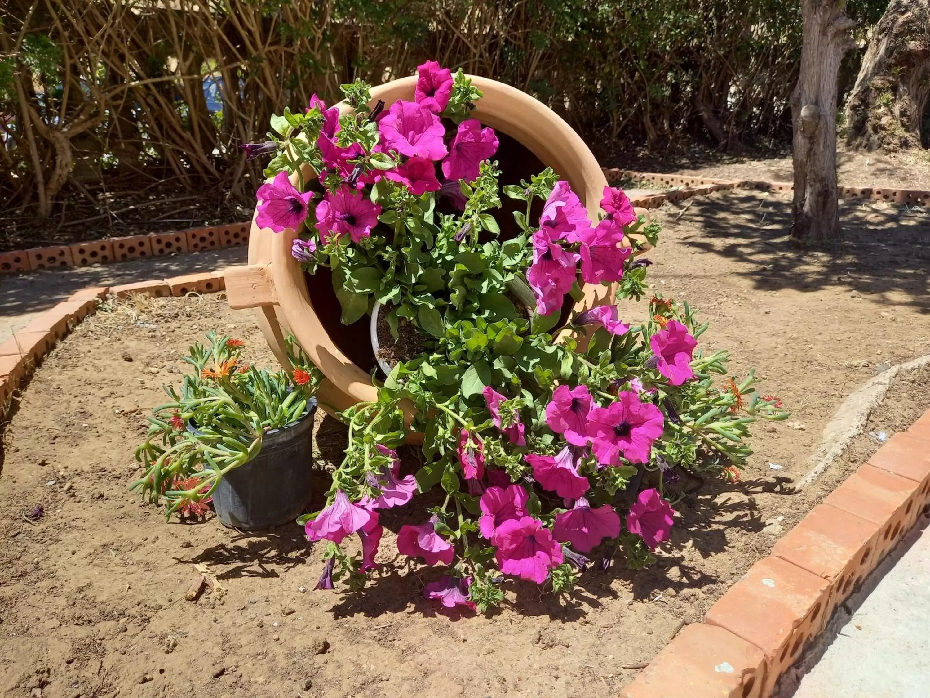 Garden in Casolare del Toscano Country Rooms