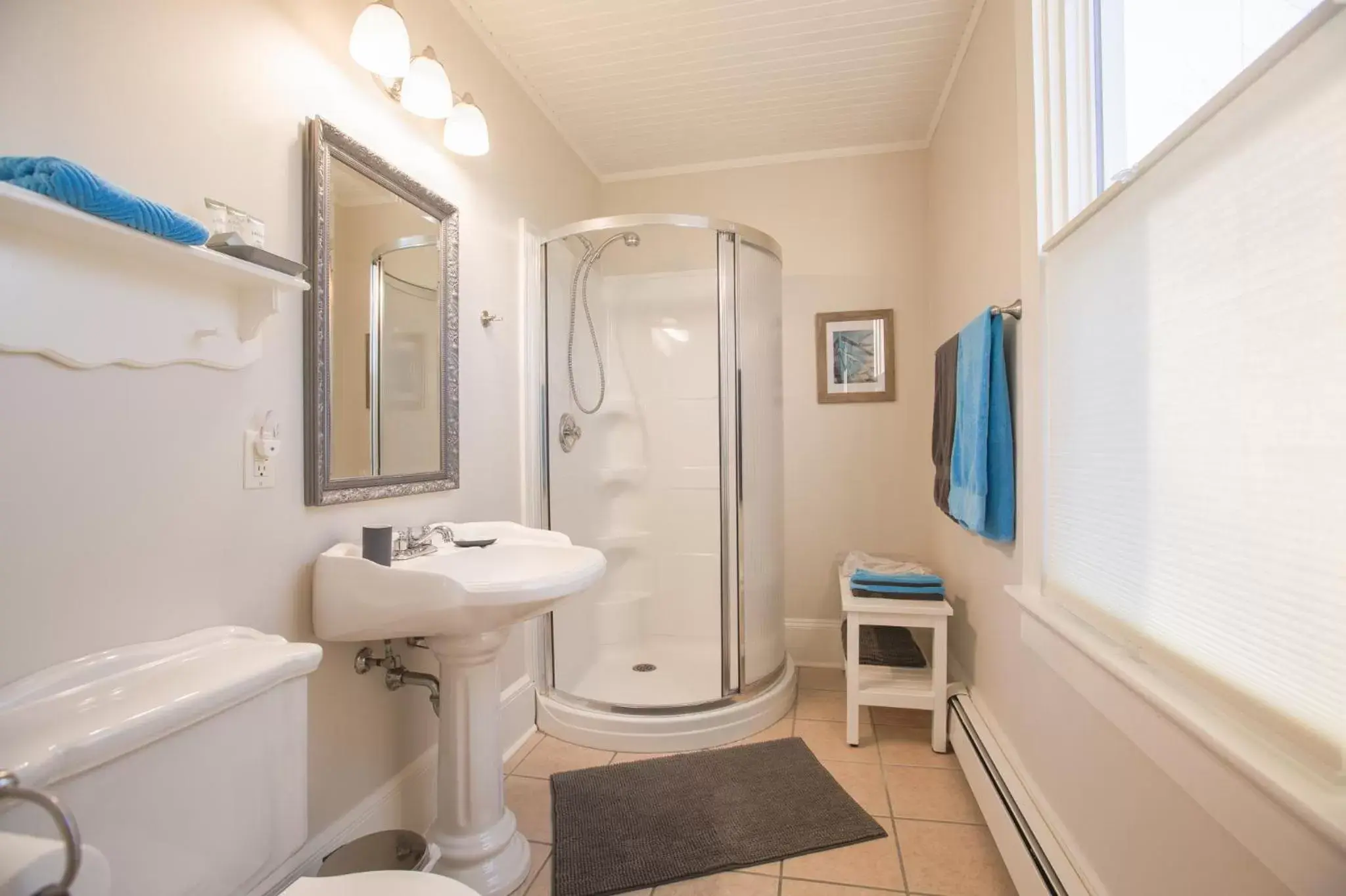 Shower, Bathroom in River Ridge Lodge