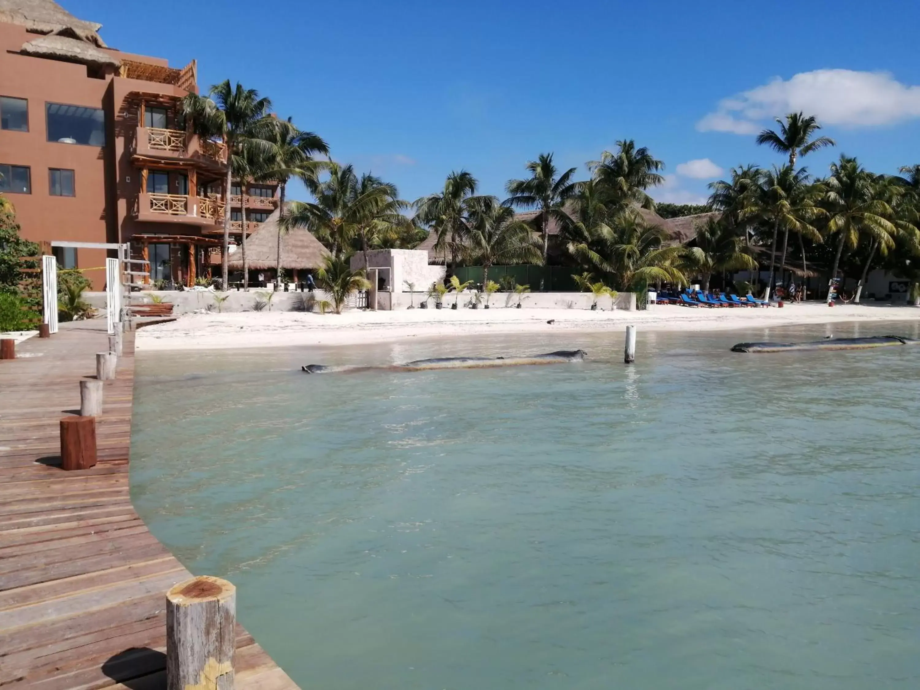 Balcony/Terrace, Beach in Hotel Beló Isla Mujeres - All Inclusive