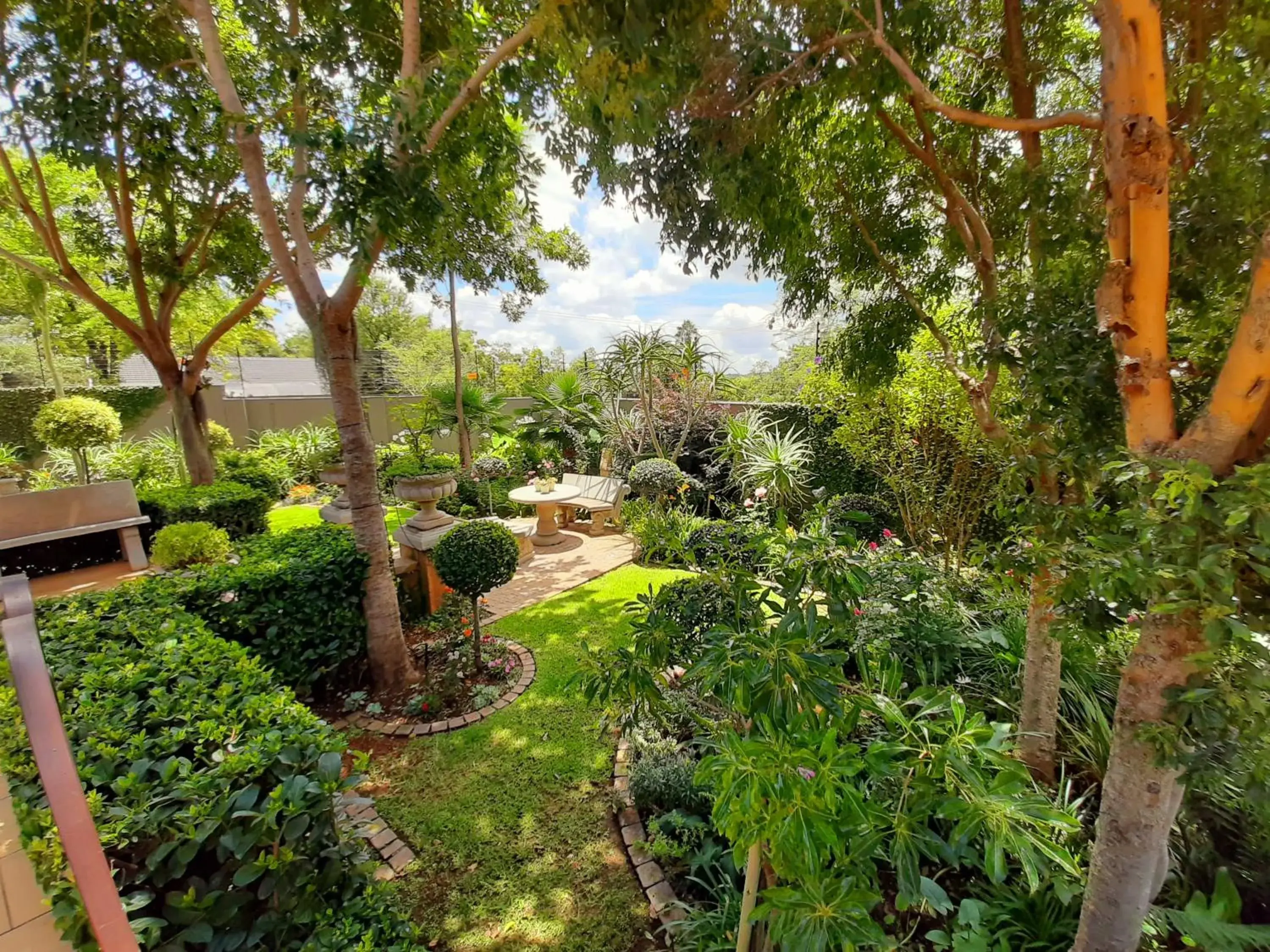 Garden view, Garden in At 98 on Lynburn Guest House