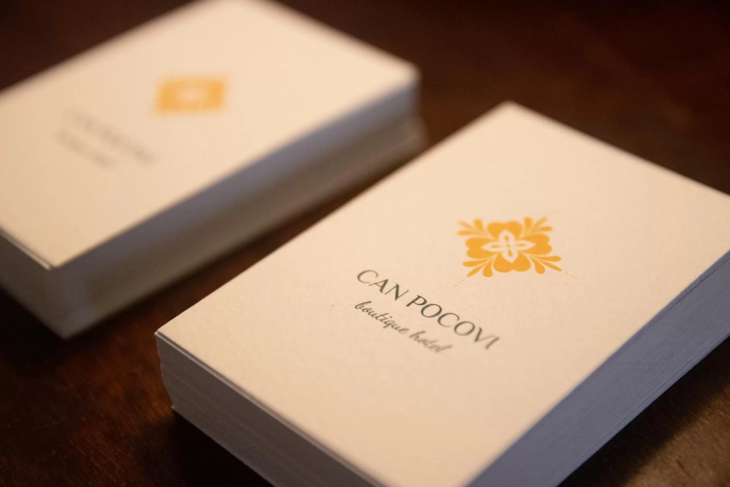 Decorative detail in Hotel Boutique Can Pocovi