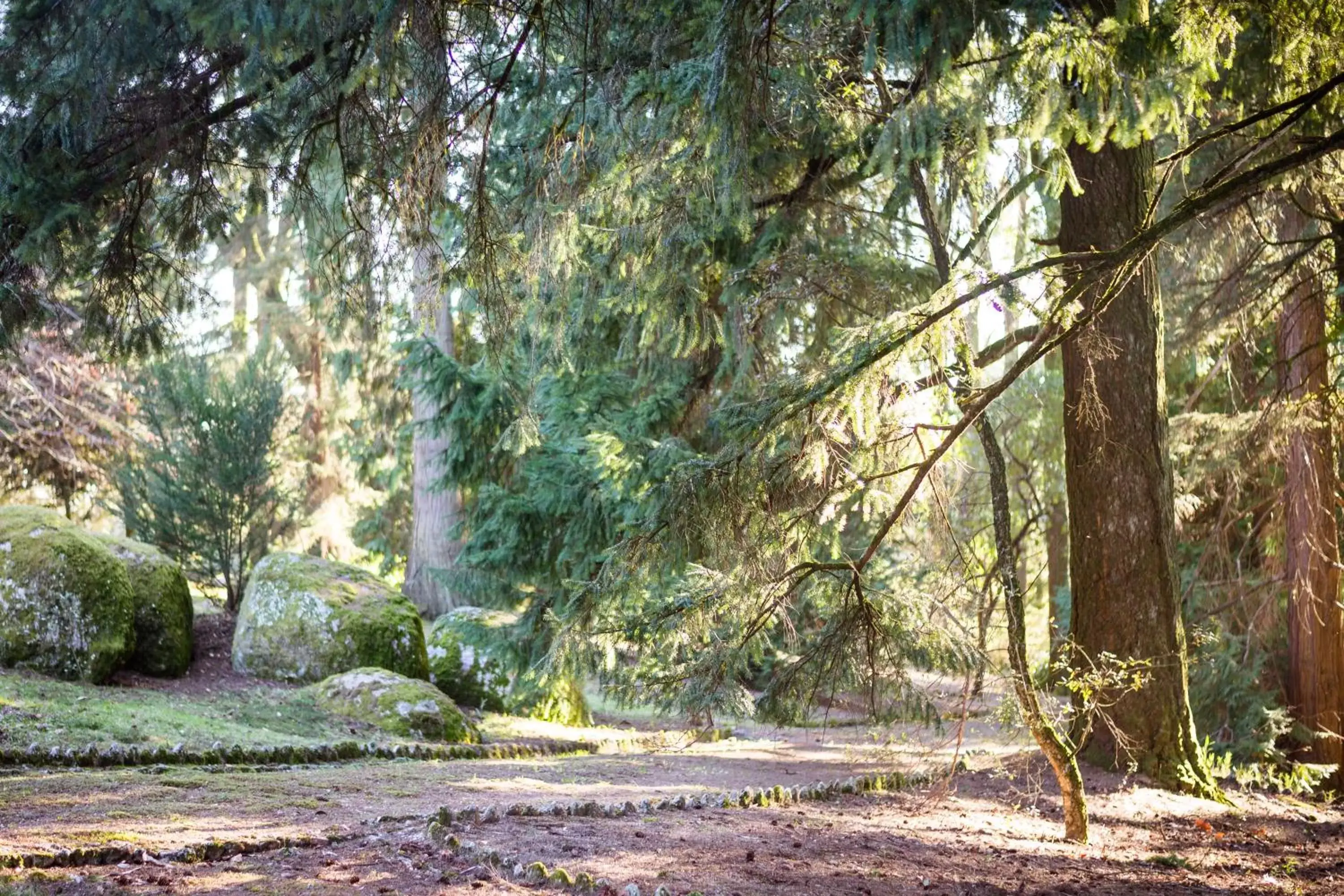 Garden, Natural Landscape in The Grove Houses