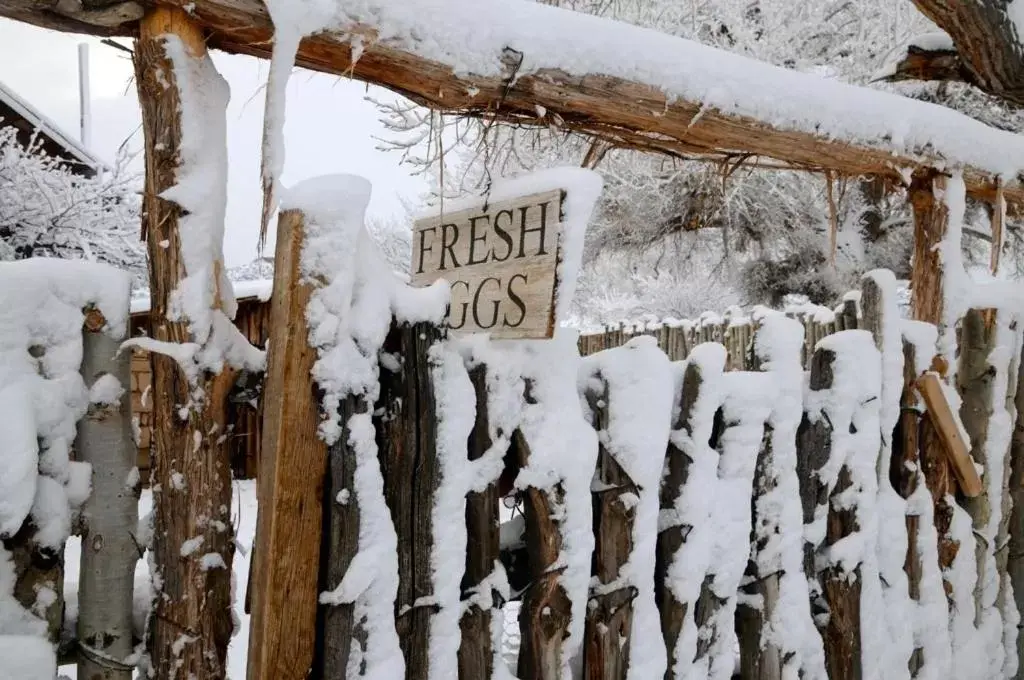 Property building, Winter in Canyon Of The Ancients Guest Ranch