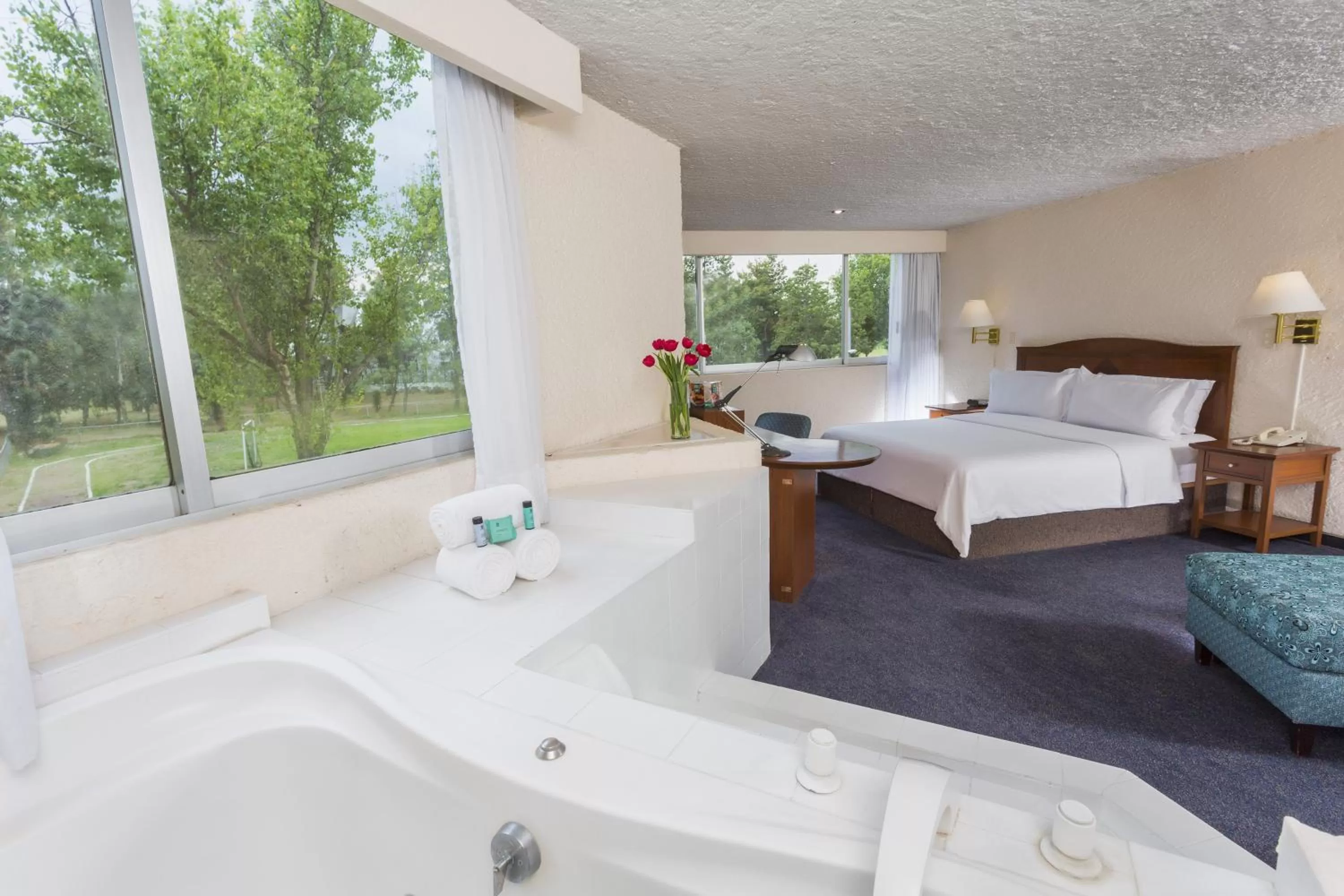 Photo of the whole room, Bed in Gamma Pachuca