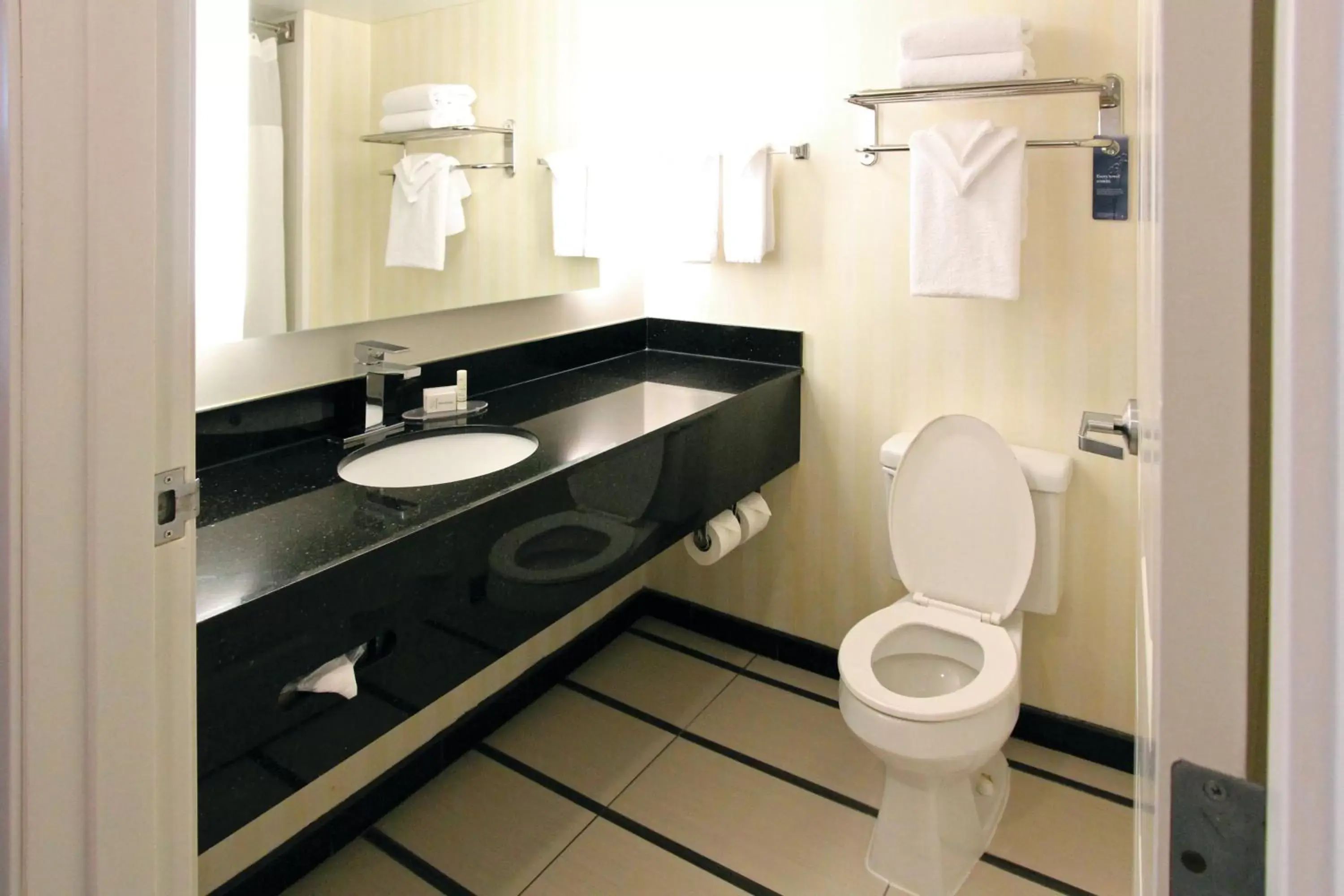 Bathroom in Fairfield Inn & Suites by Marriott Charleston Airport/Convention Center