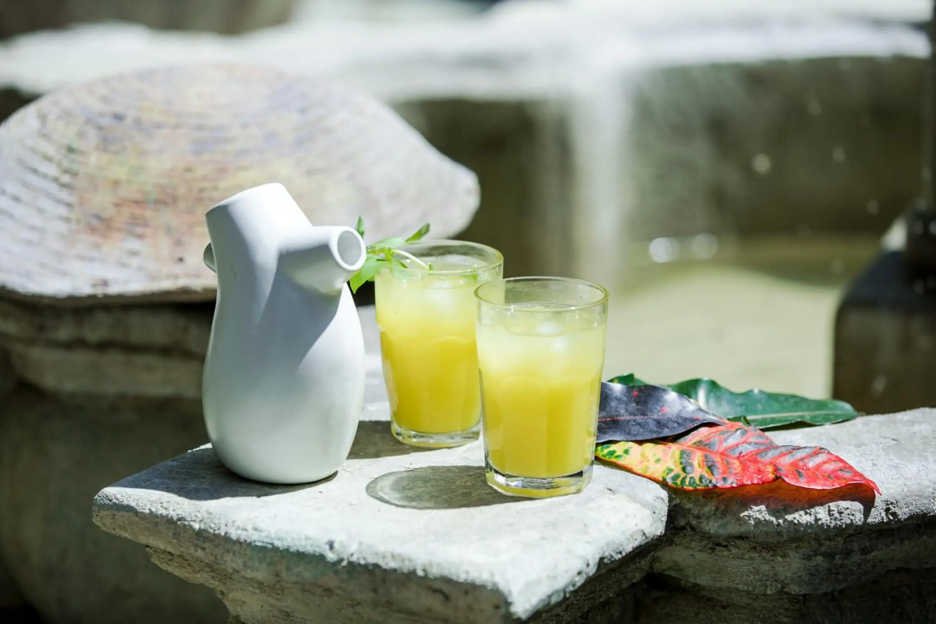 Drinks in Casa De Sierra Azul