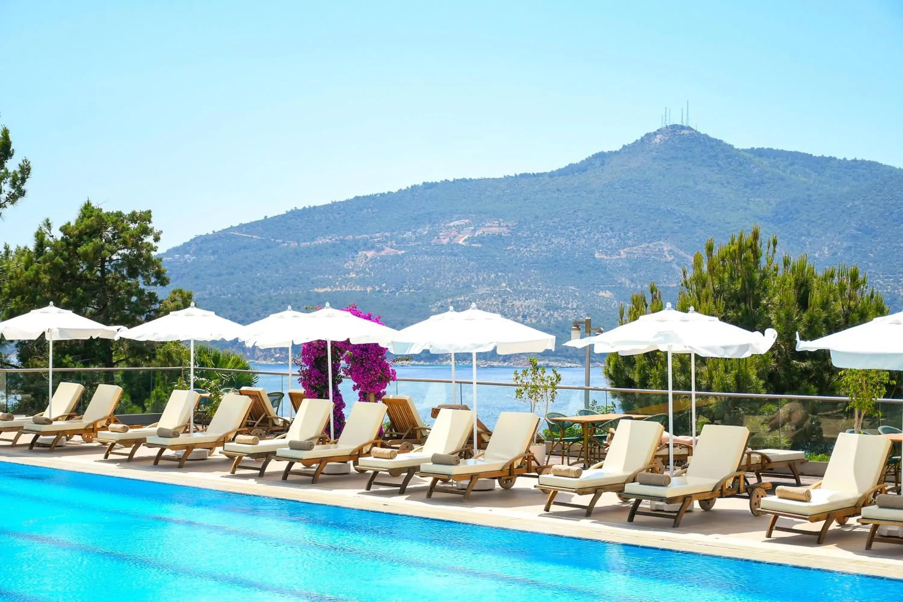 Mountain view, Swimming Pool in Happy Hotel