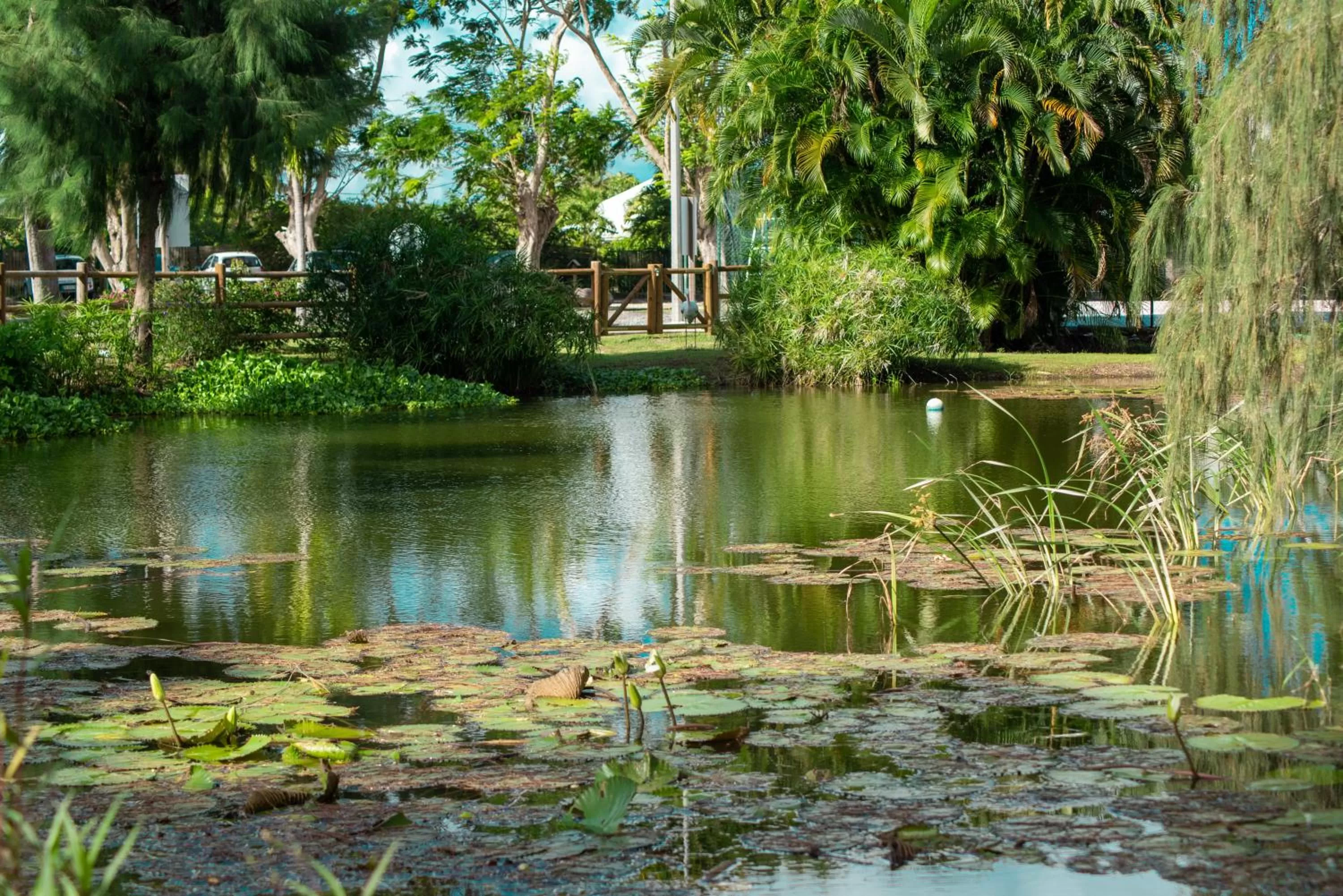 Natural landscape in Le Relais du Moulin - Hôtel de Charme & Spa Adult Only
