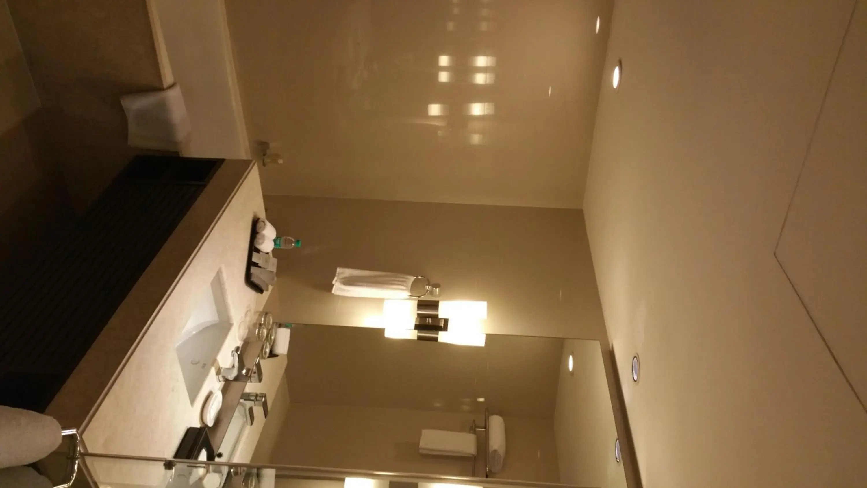 Bathroom in Somerset Greenways Chennai