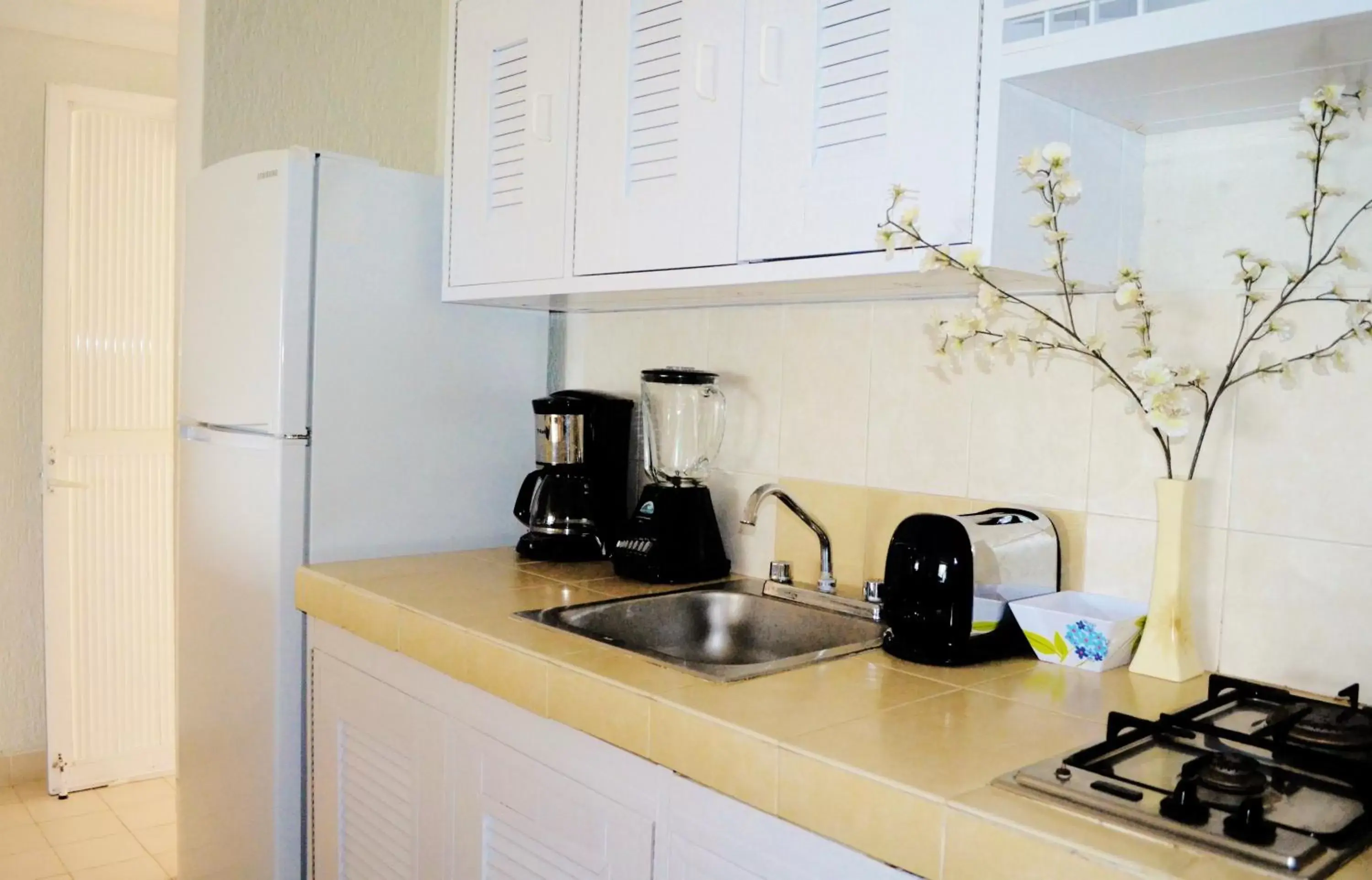 Kitchen or kitchenette, Kitchen/Kitchenette in Arrecifes Suites