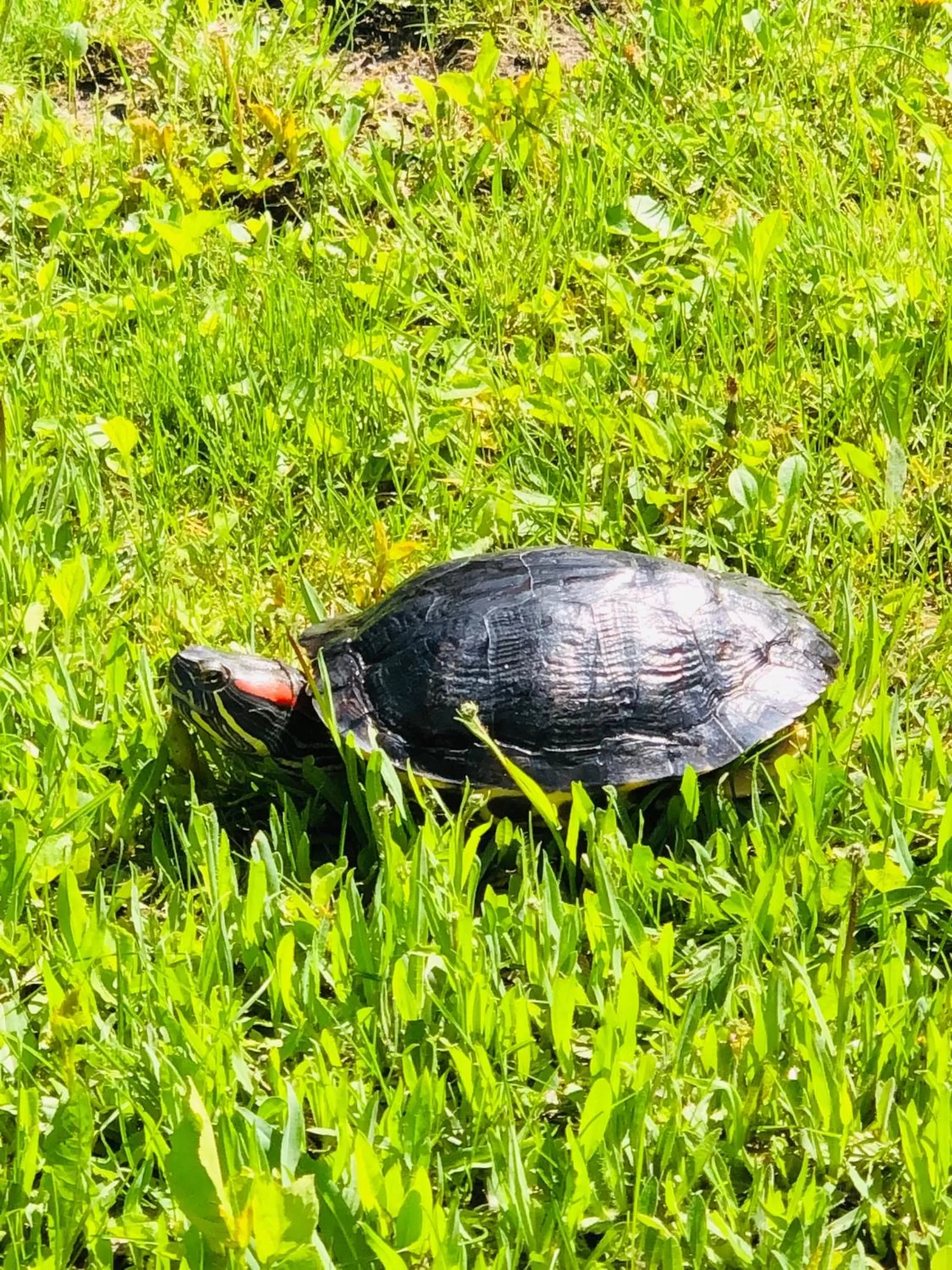 Garden in Hotel & Spa DENINNA